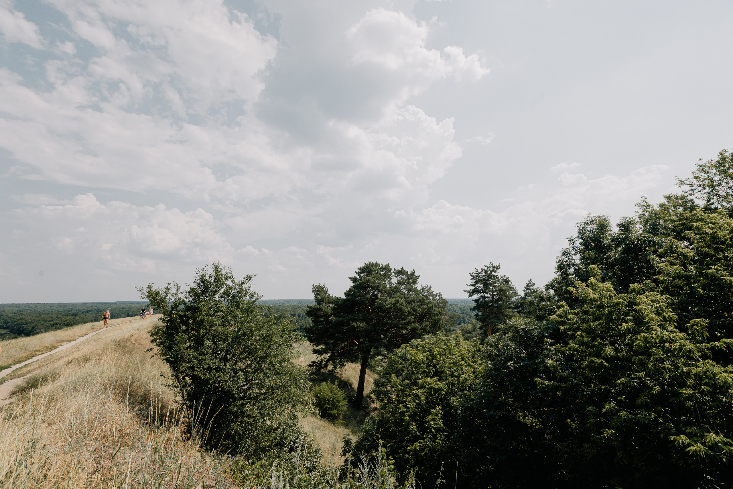 A&Y. Свадебный и семейный фотограф Чижова Алина