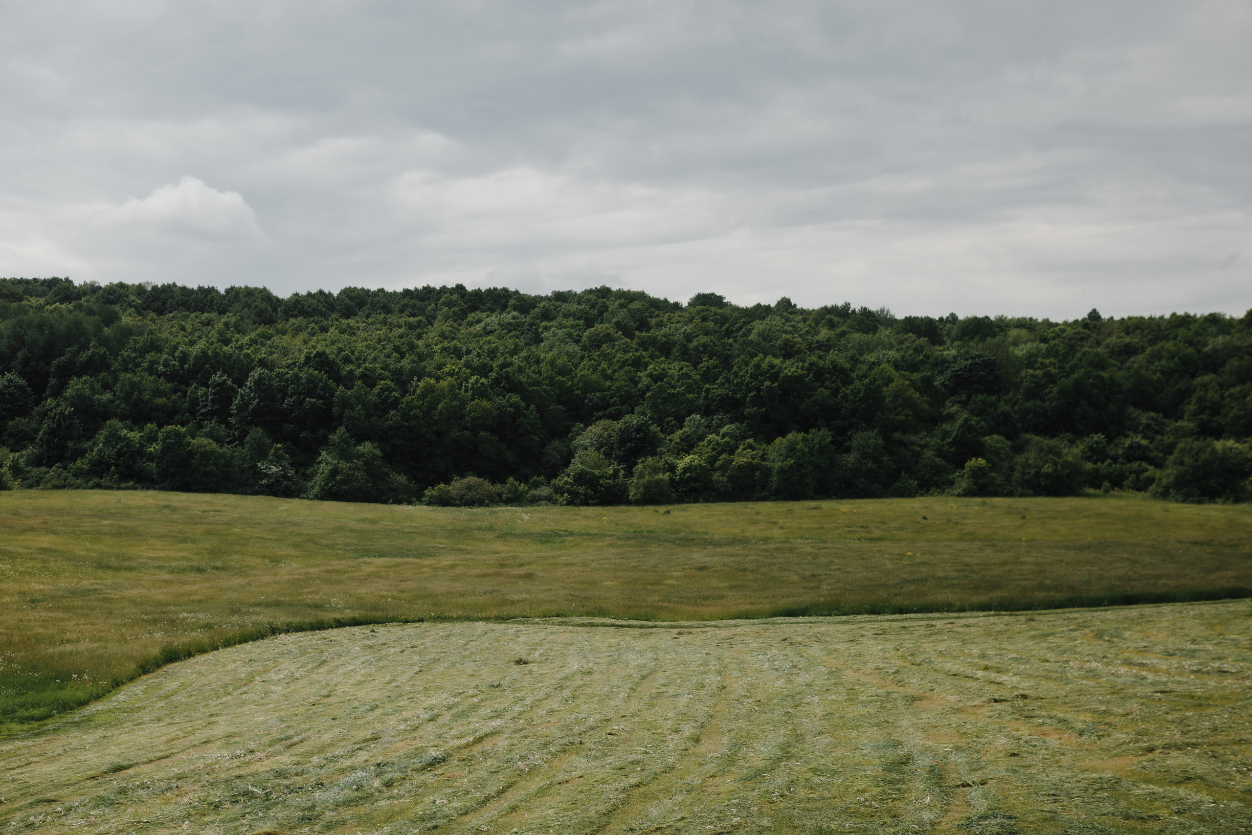 M&A. Свадебный и семейный фотограф Чижова Алина