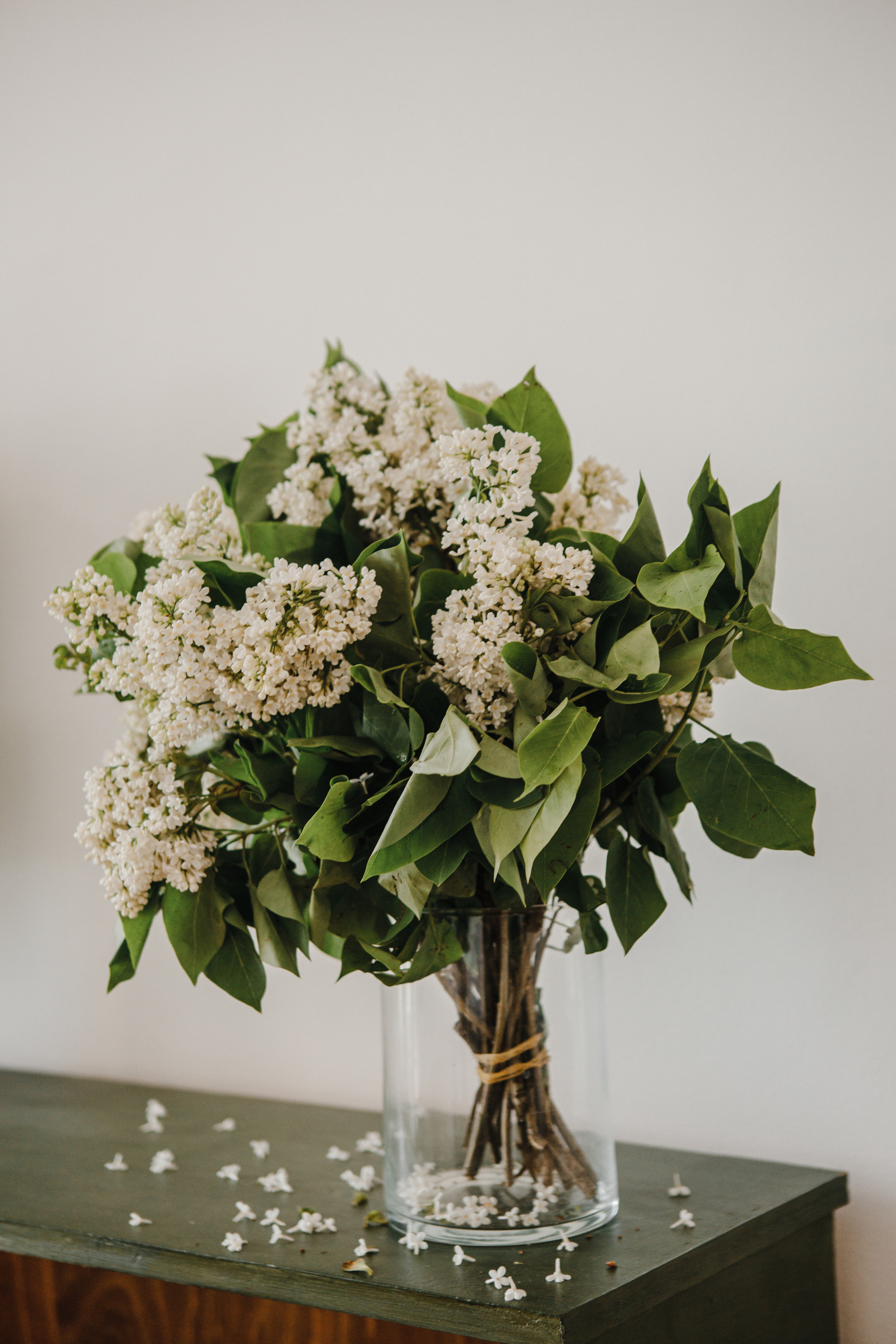 V&A. Свадебный и семейный фотограф Чижова Алина