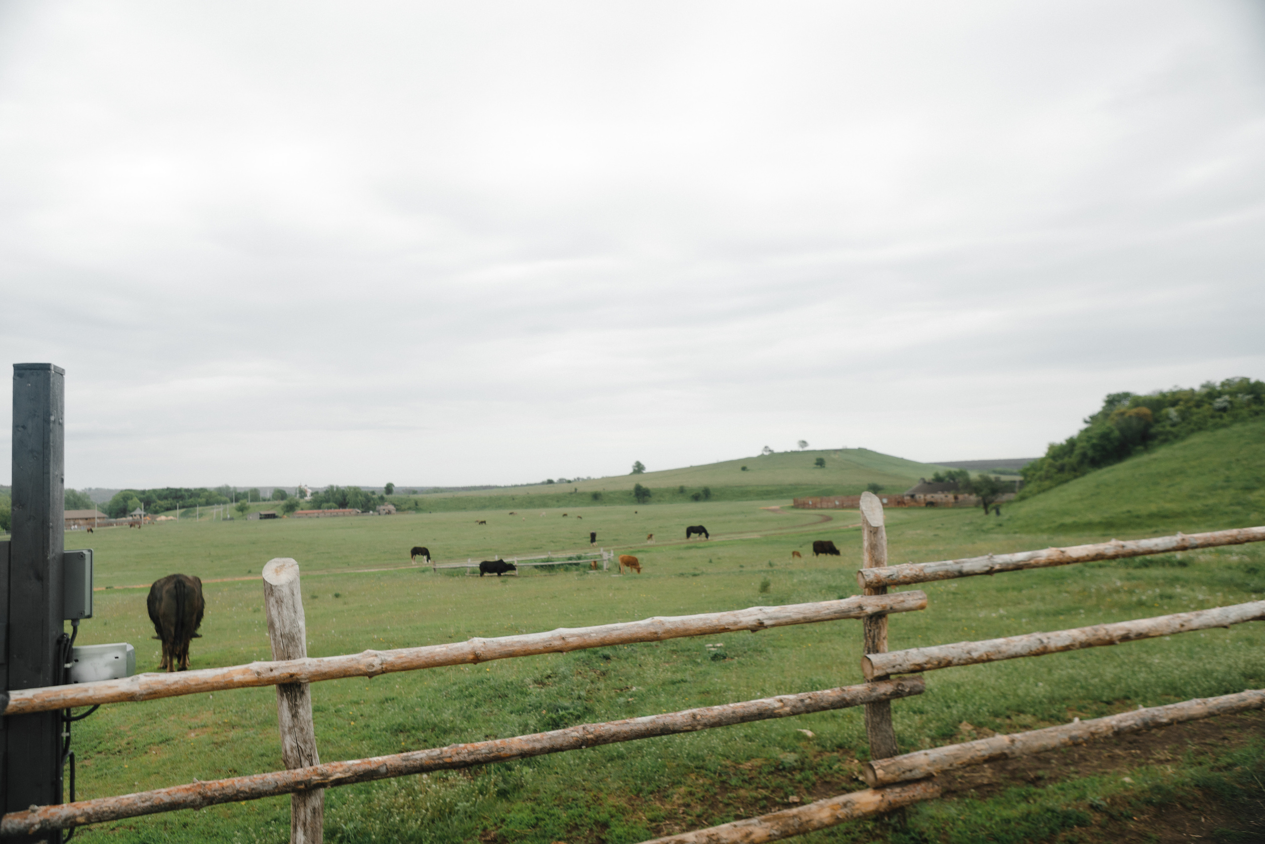 M&A. Свадебный и семейный фотограф Чижова Алина