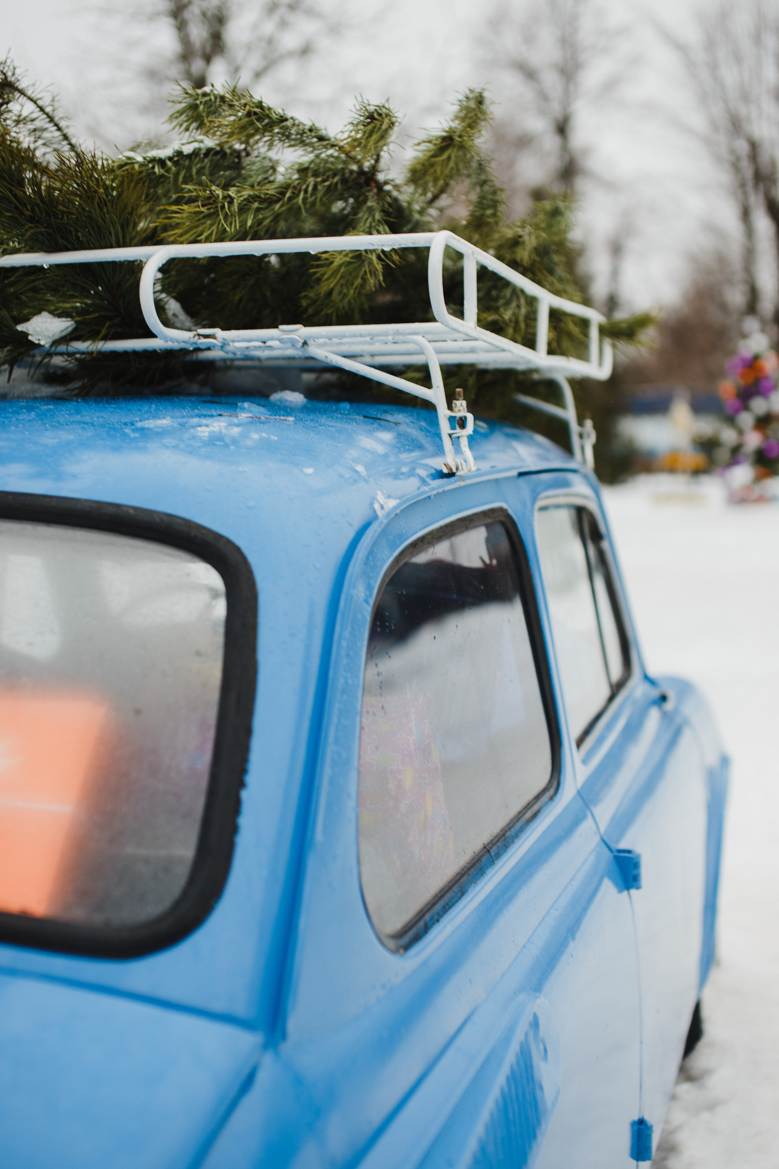 OLYA. Свадебный и семейный фотограф Чижова Алина