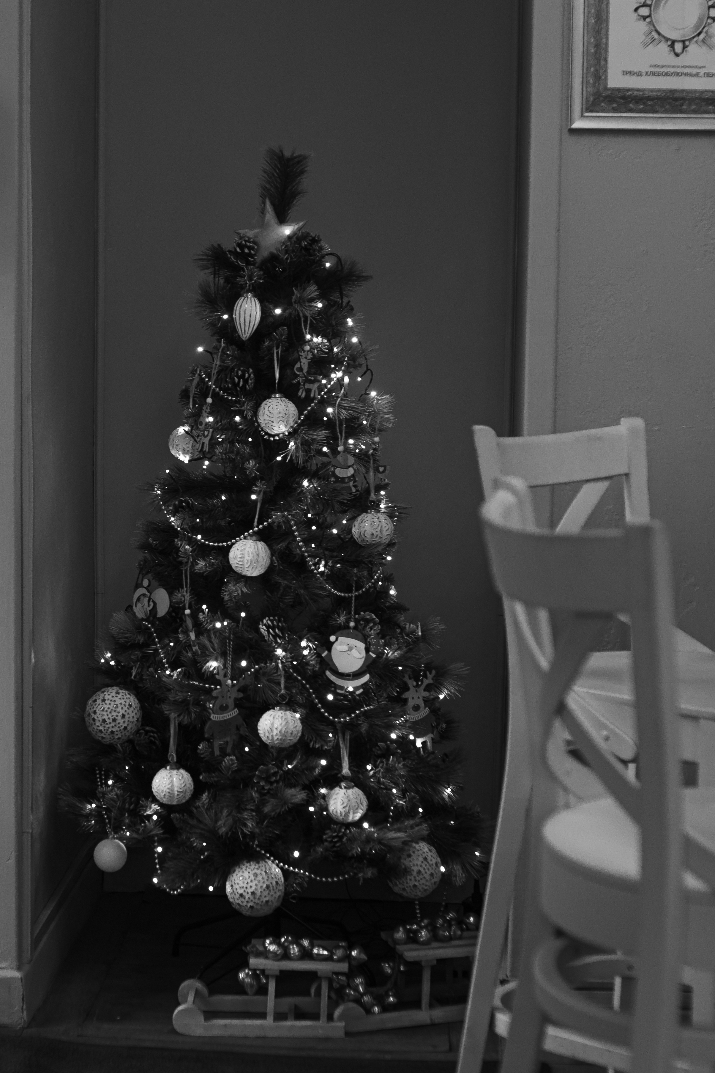 N&E. Свадебный и семейный фотограф Чижова Алина