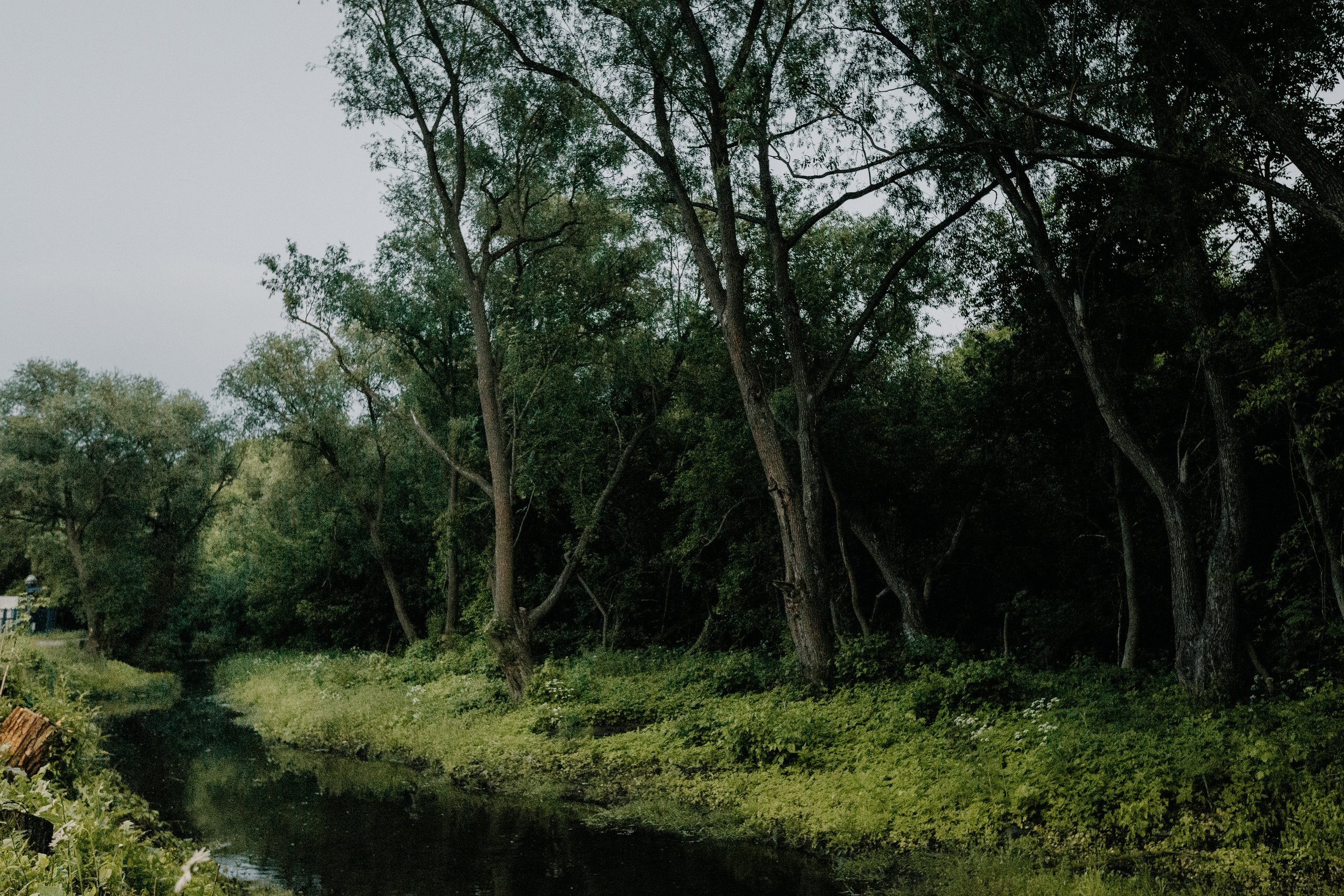 Эля. Свадебный и семейный фотограф Чижова Алина