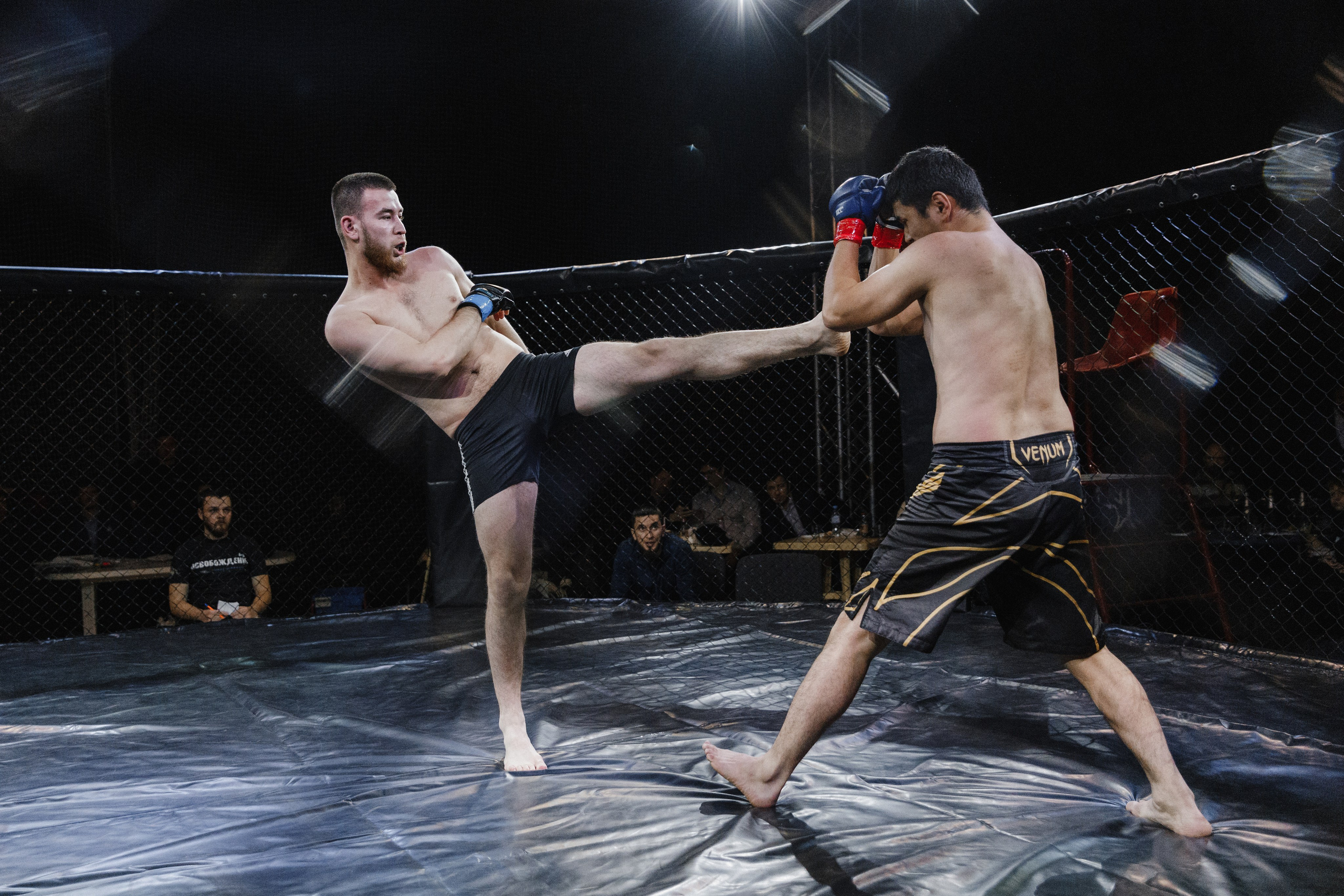 Турнир по ММА «Освобождение» 2023 г. Истра. Свадебный фотограф Фадеева Алёна