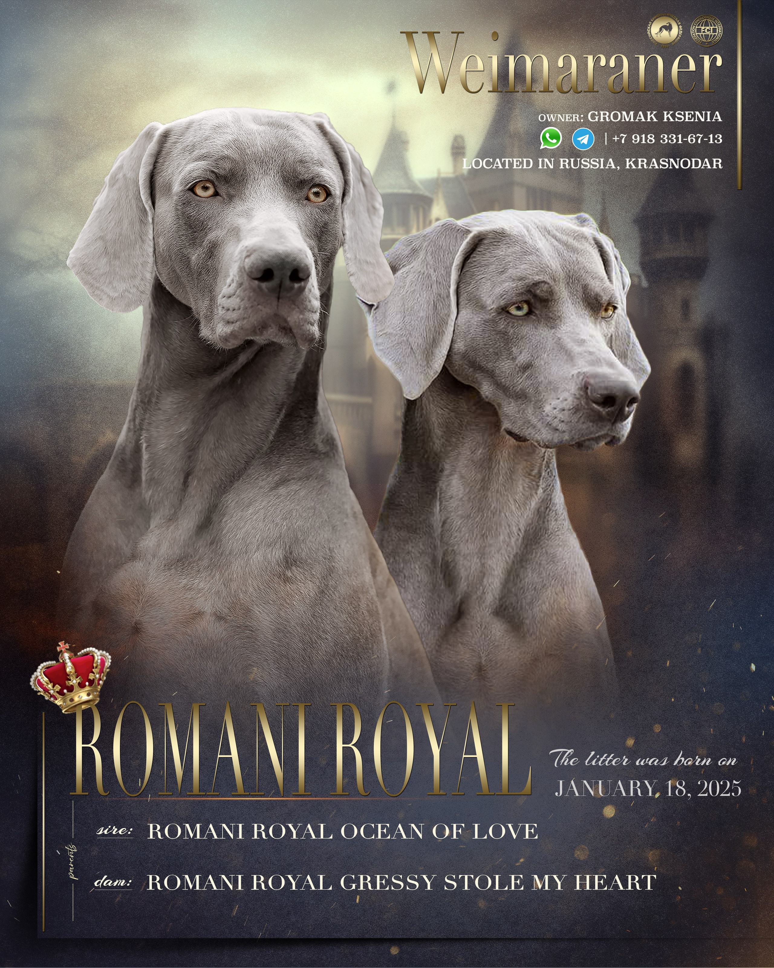 Презентация. Фотограф