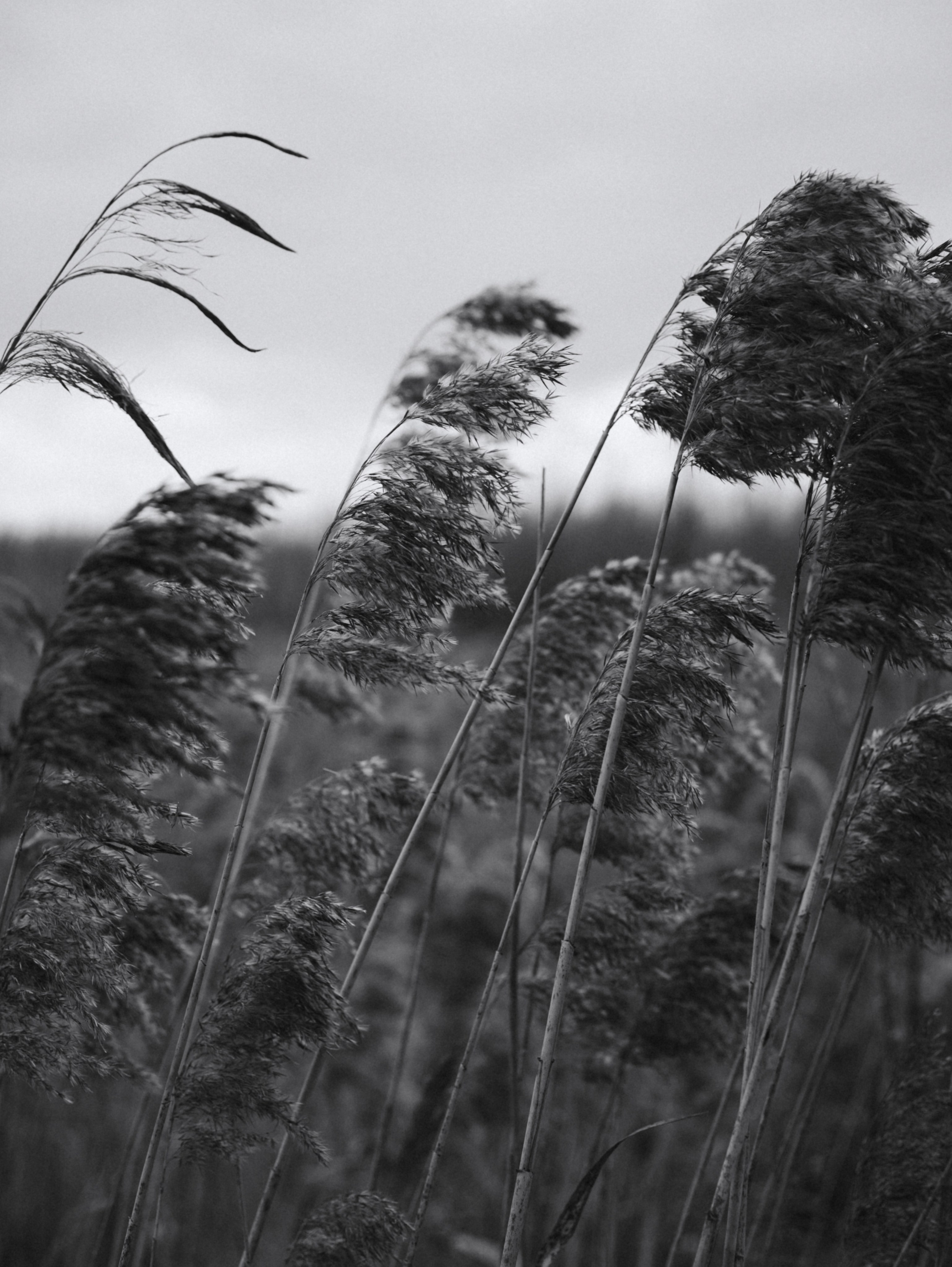 Все умрут, а я останусь. Больше не греет