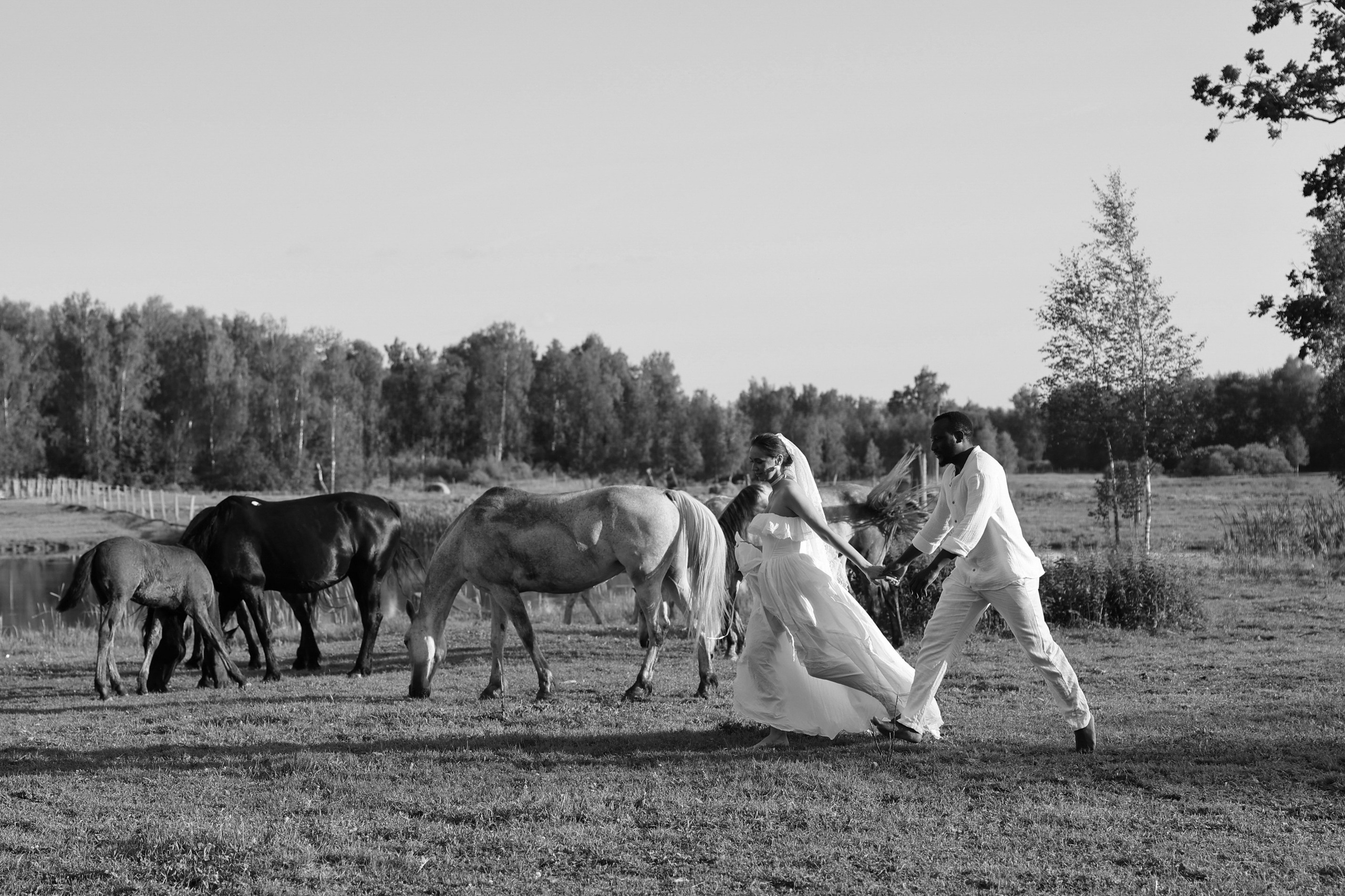 Кристафле и Олеся. Свадебный, репортажный, фотограф Москва и Московская область