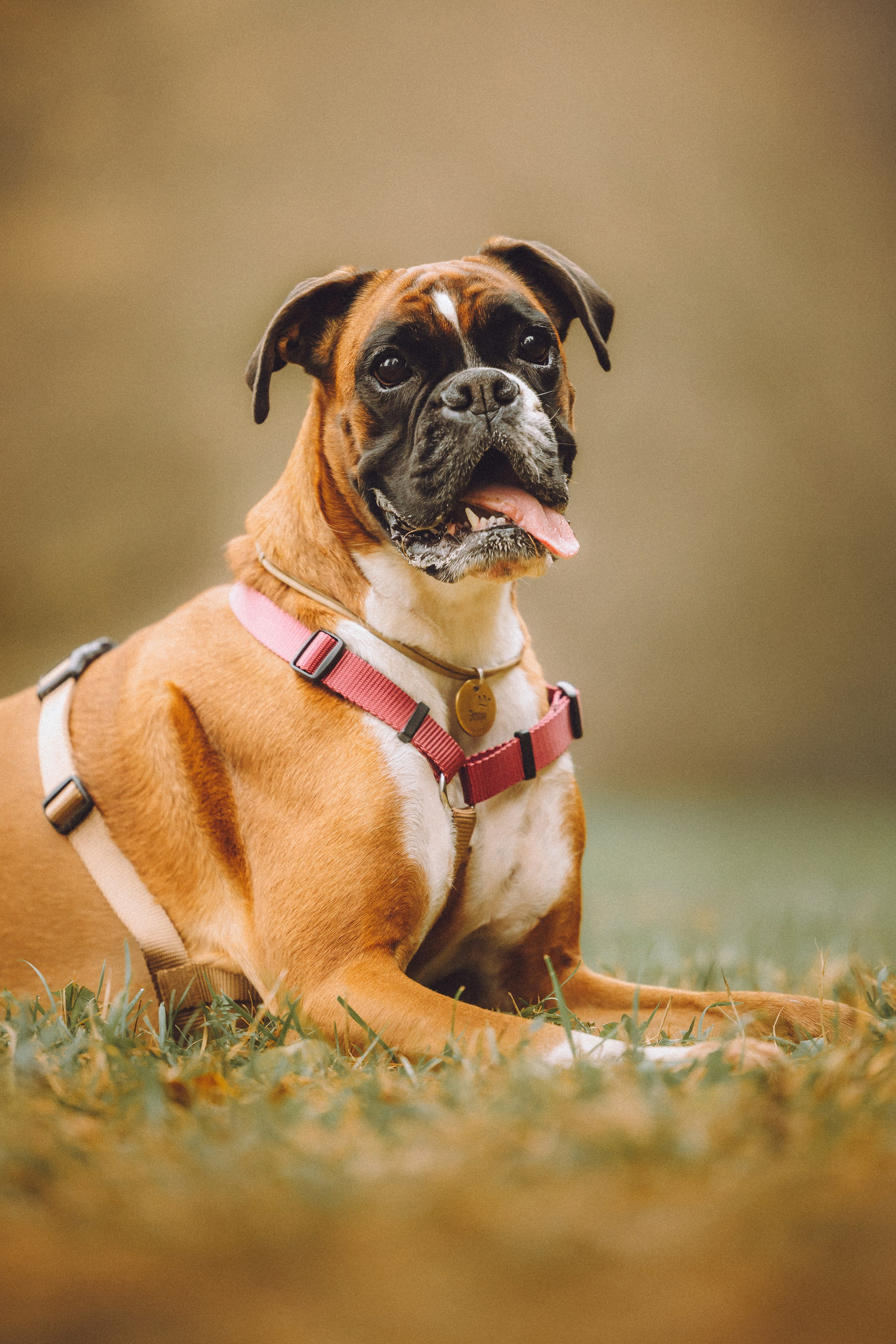 Элли и ее семья