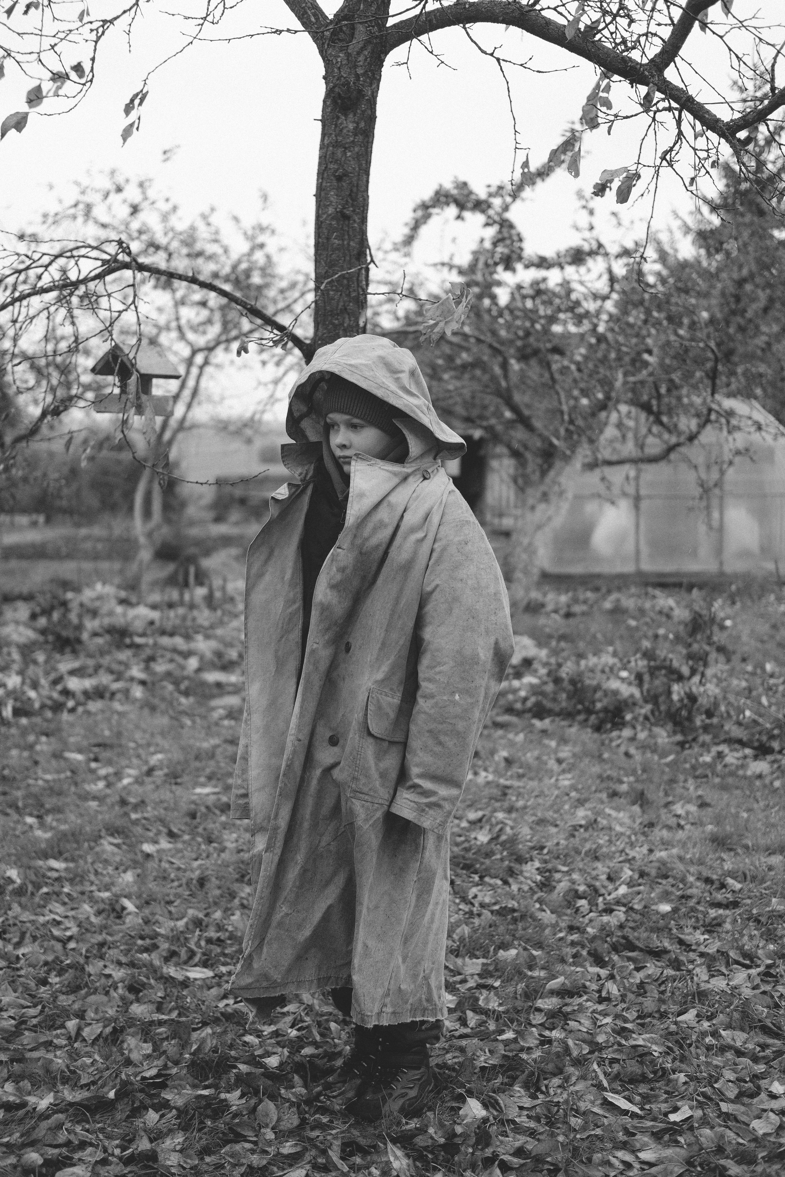 Жизнь сада. Works