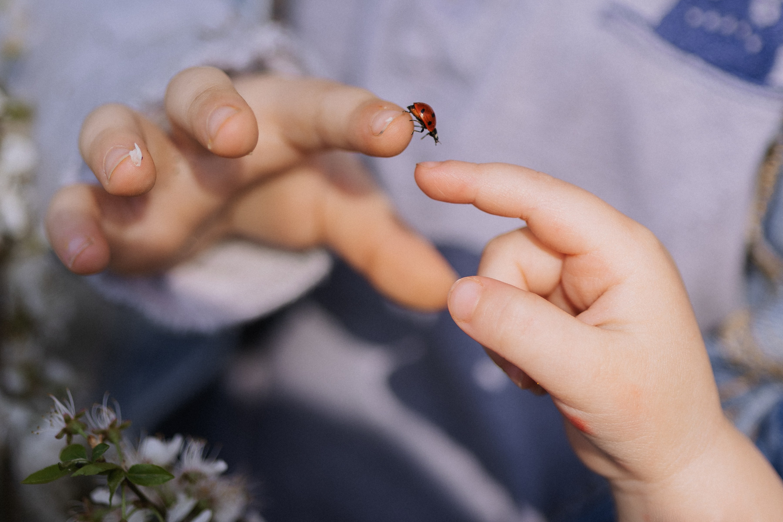 Дети. Семейный, детский и женский фотограф Дарина Старшинова в Твери