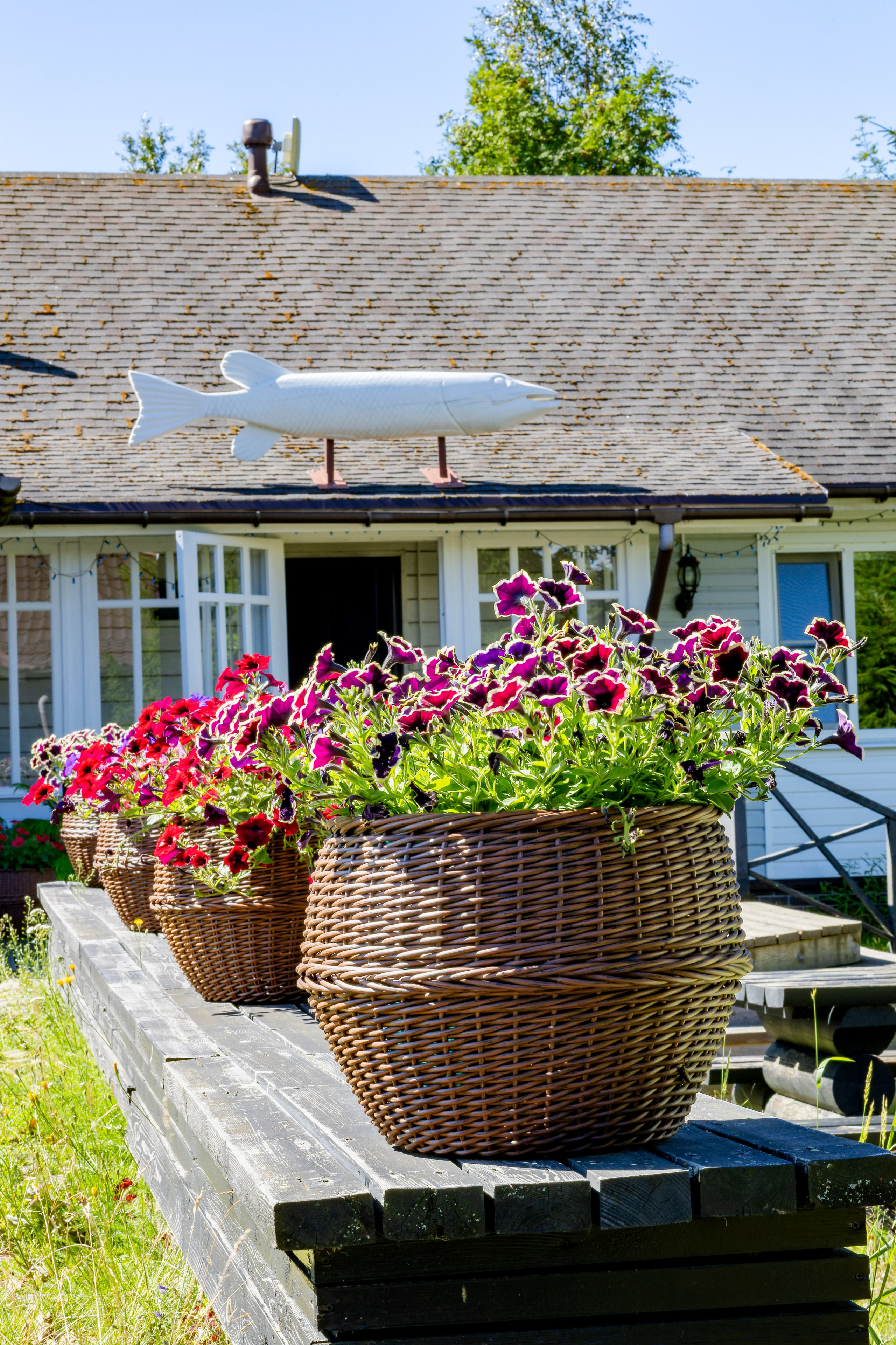 Гостевые дома «Уксунлахти» (деревня Ууксу). Аэросъемка. Фото и Видео в Карелии. Алексей Фрилунд
