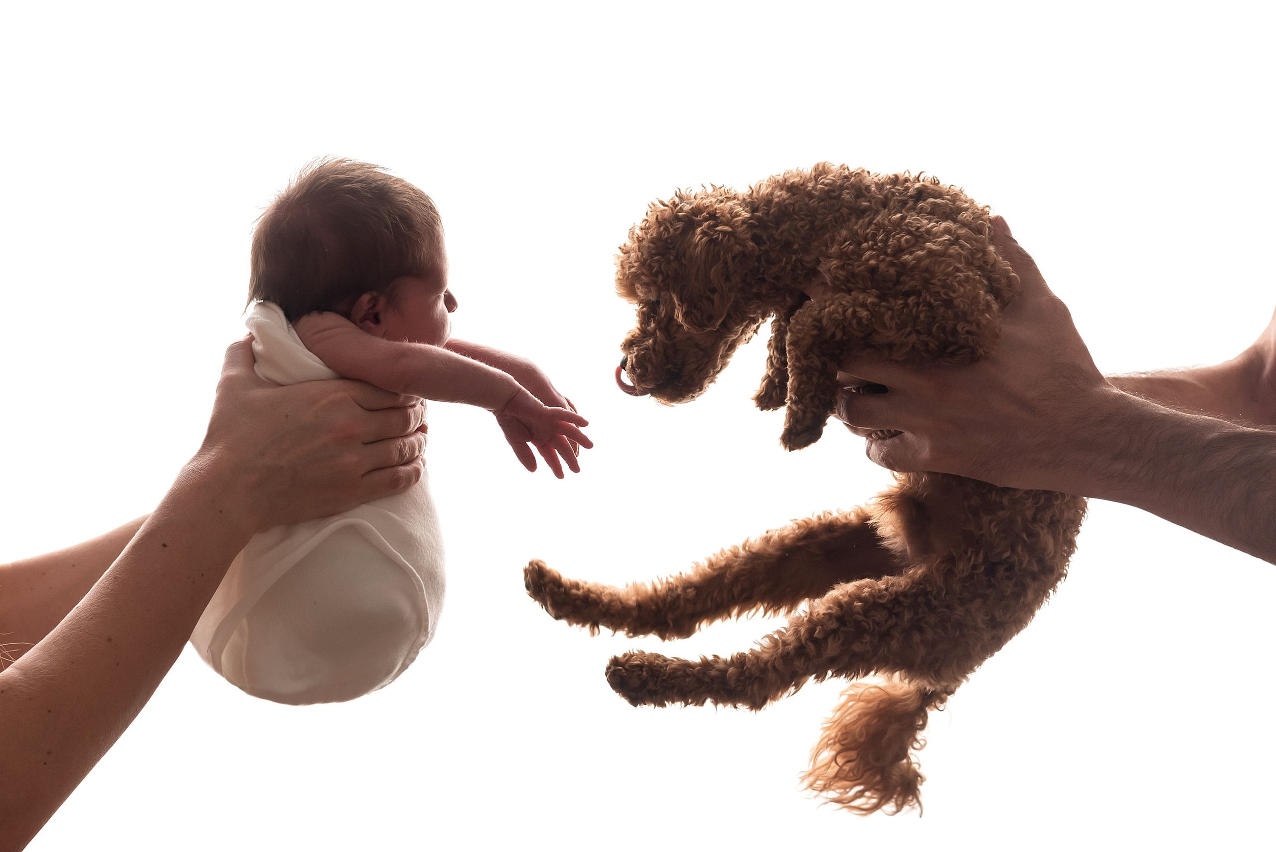 Кадры с родителями и старшими детьми. Фотограф новорожденных в Екатеринбурге Анастасия Карманова