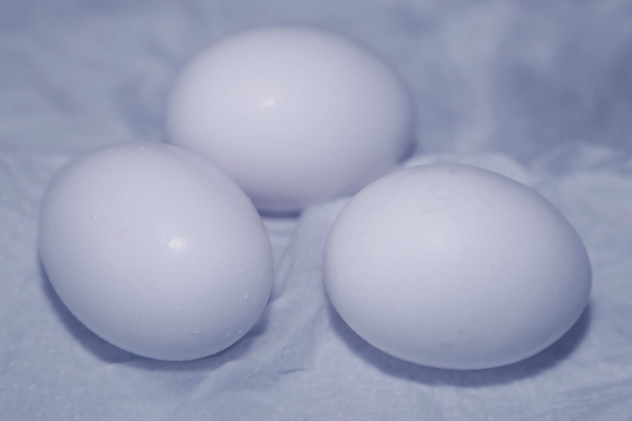 Эксперименты. Фотосессии и репортаж — Фотограф в Москве — Рина Серёгина