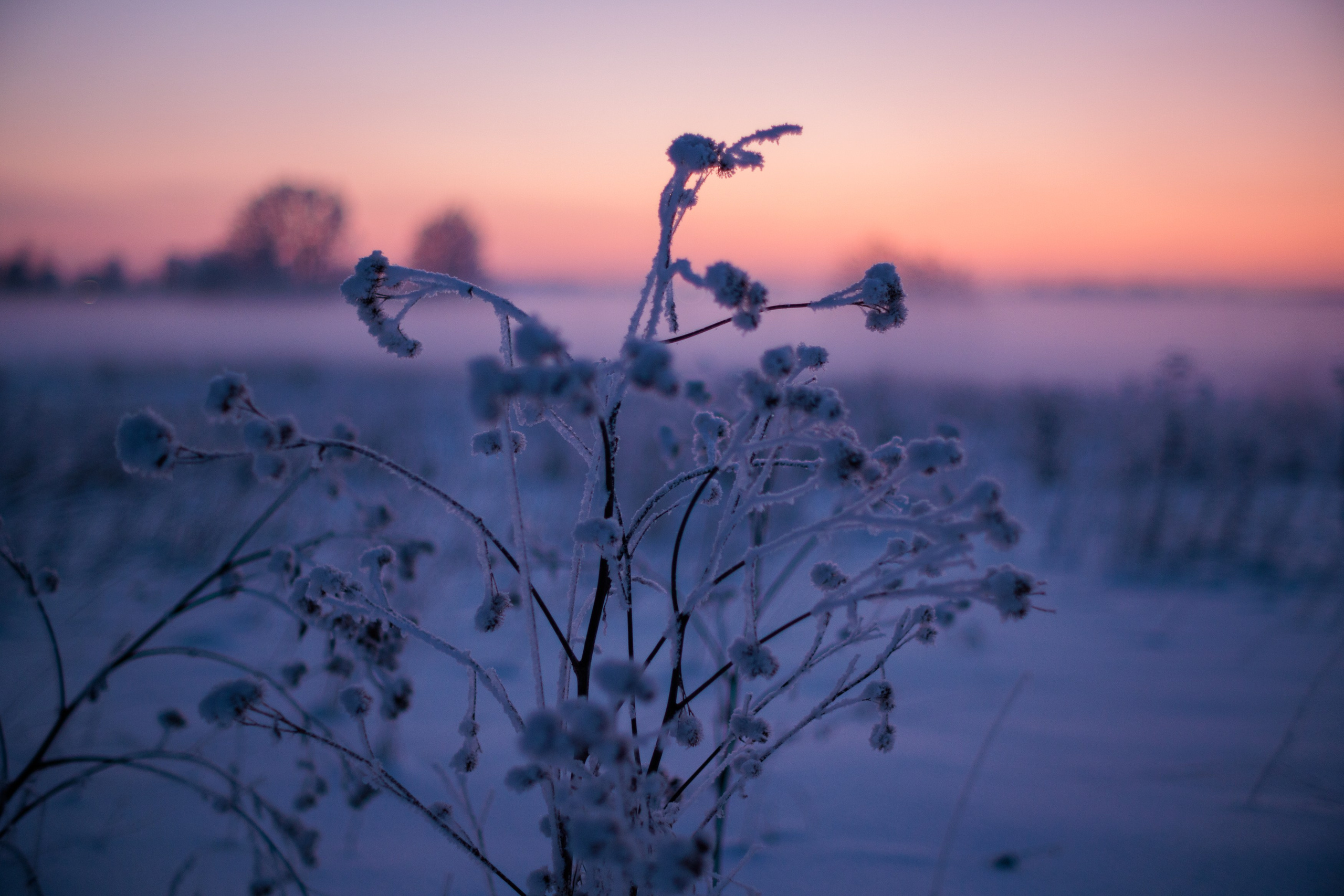 Пейзаж (вич рн) Закат. Владимир Петухов — фотограф в г. Кинешма. Оператор FPV
