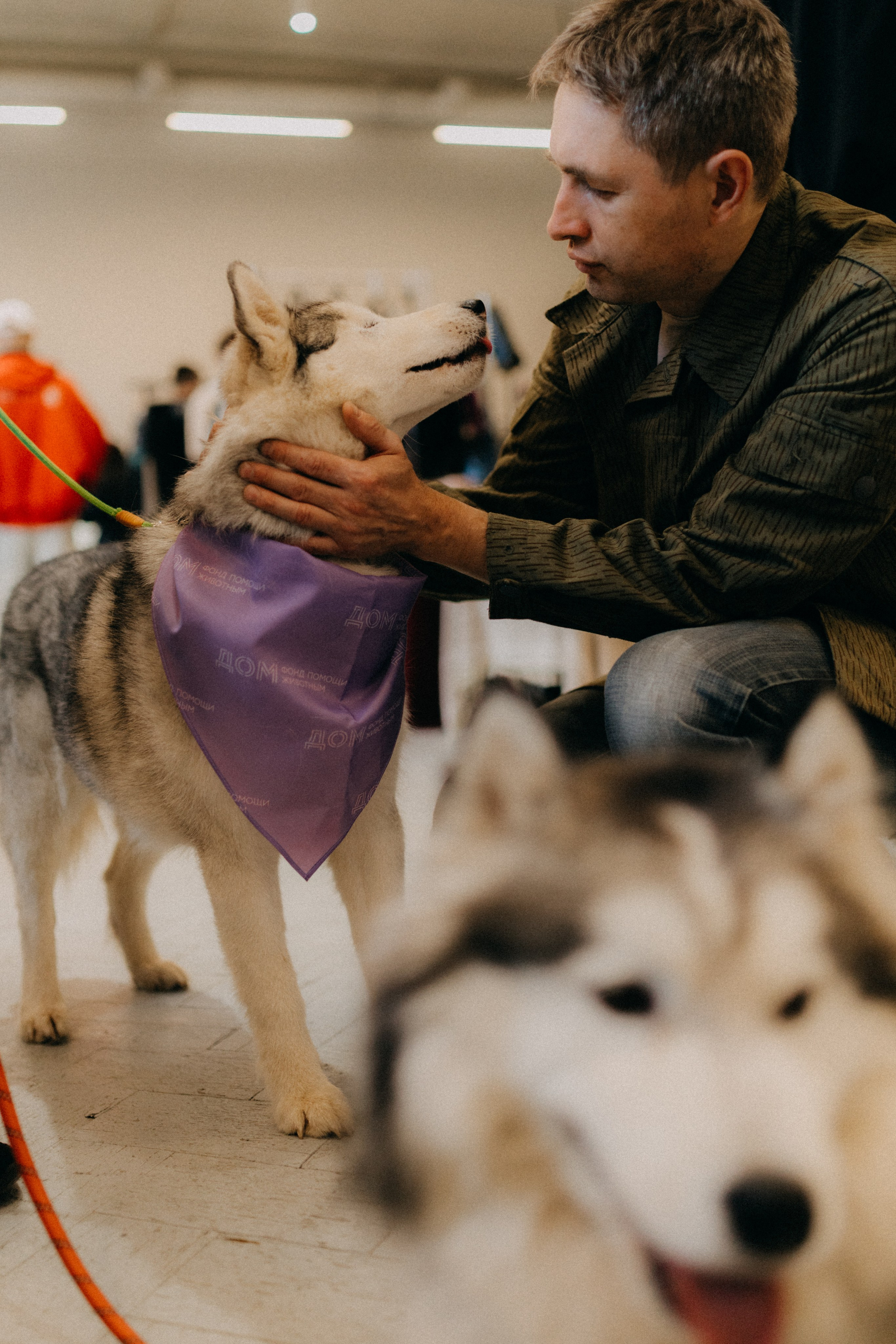 Маркет КИТЧ. Фотограф НОГИНСК, Москва, Анастасия Белая