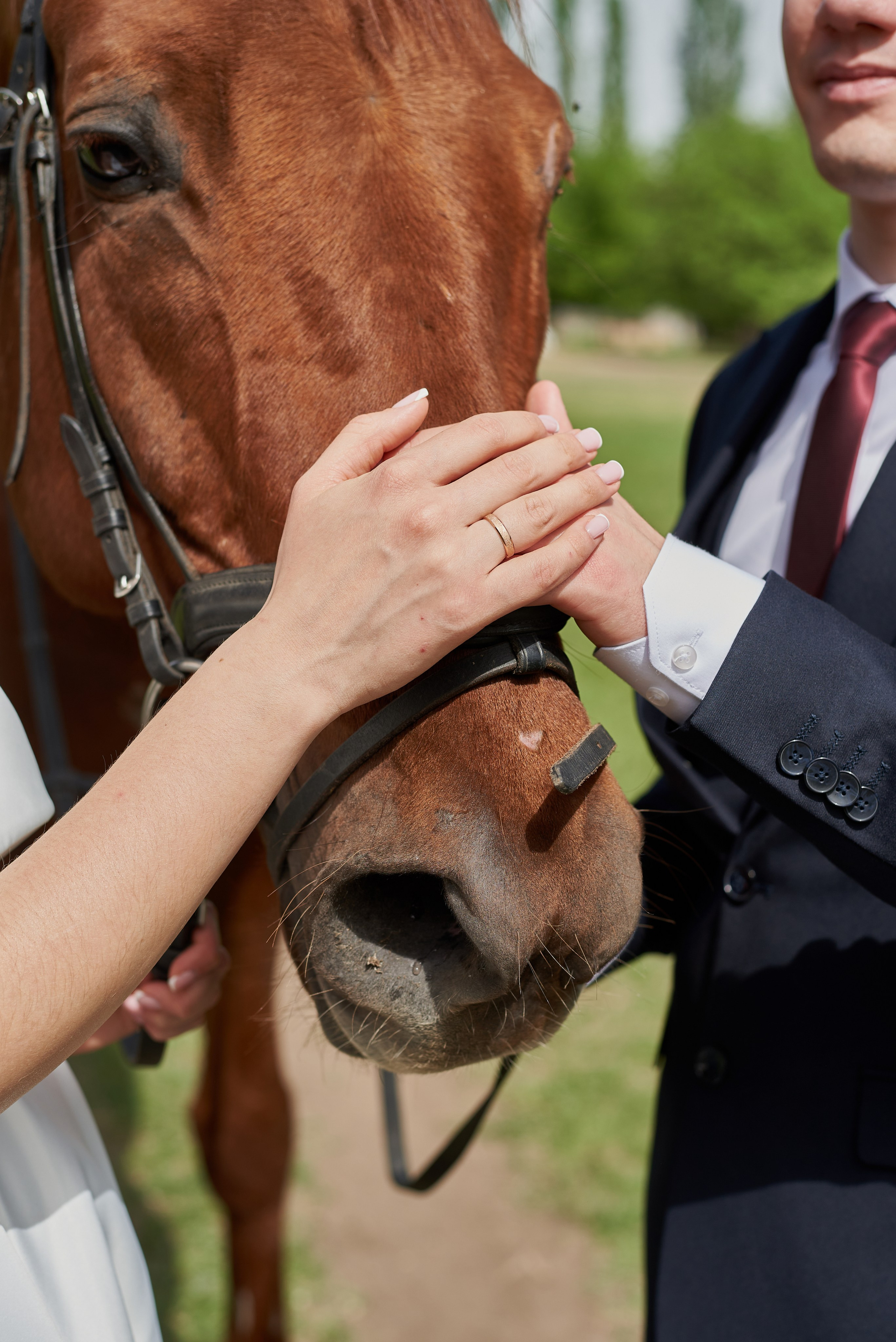 Владислав и Наталья. Фотограф Новочеркасск Ростов Карина Чернова