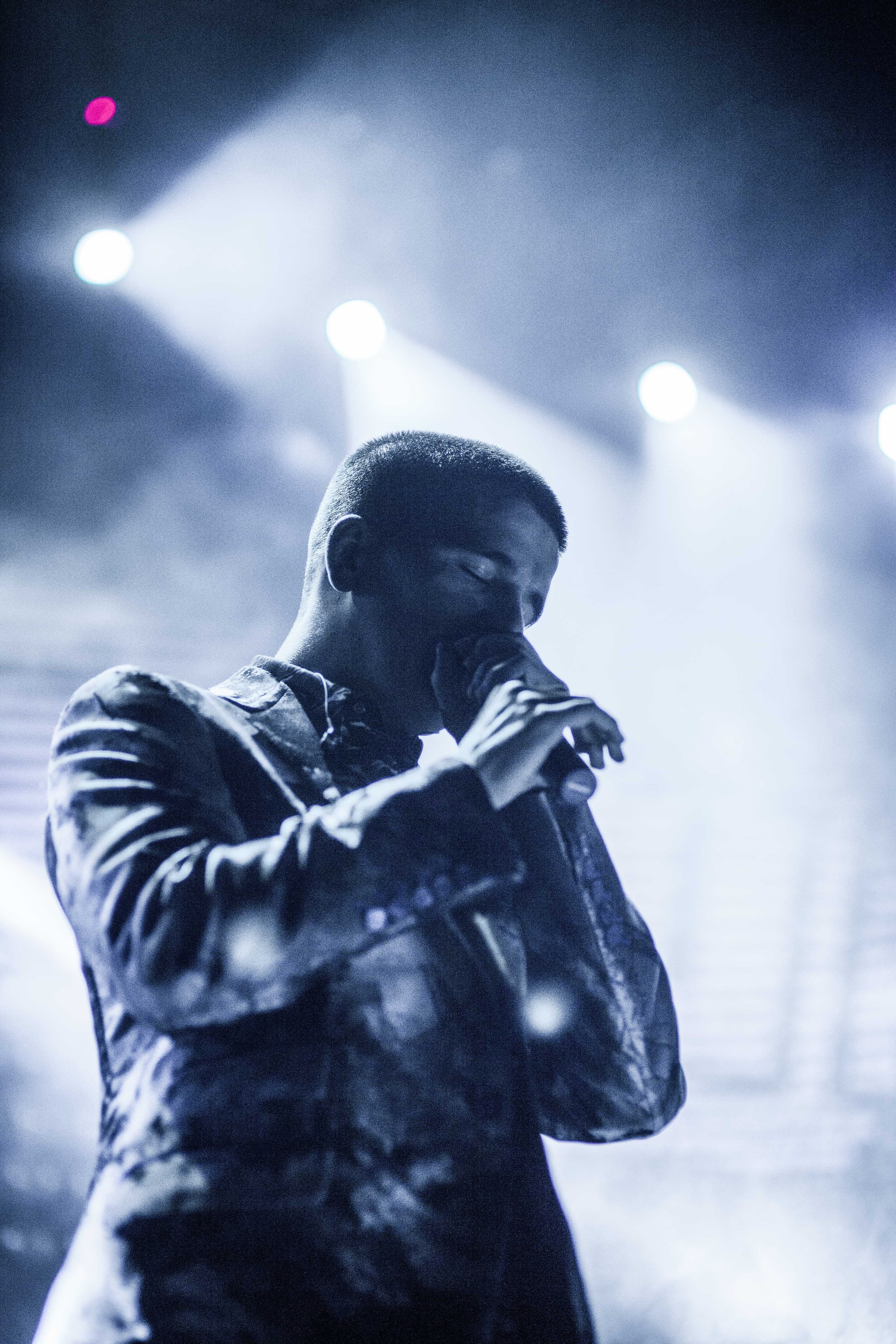 Feduk. Твой фотограф — Полосатый кот