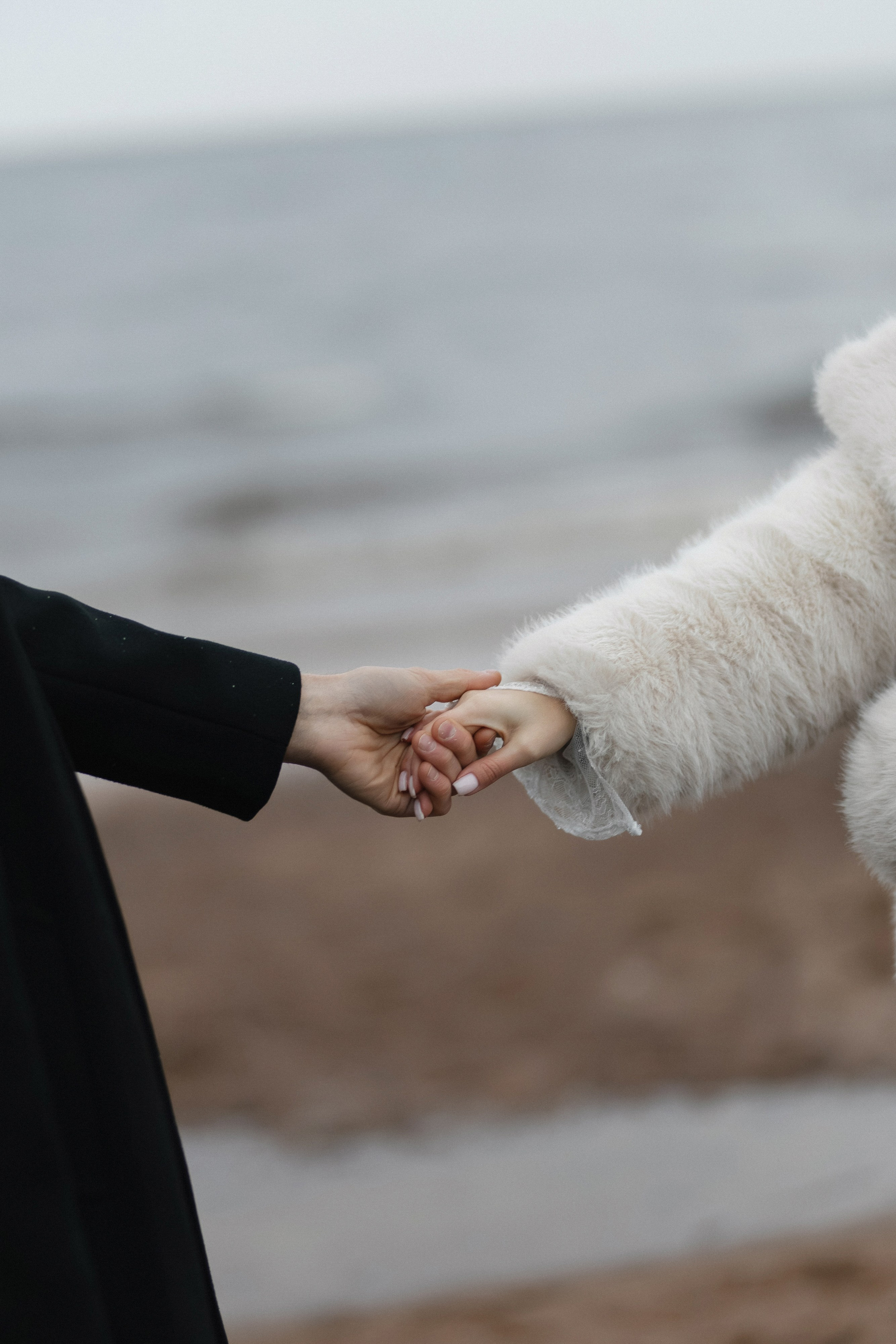 СВАДЬБЫ. Maria Startseva Photo