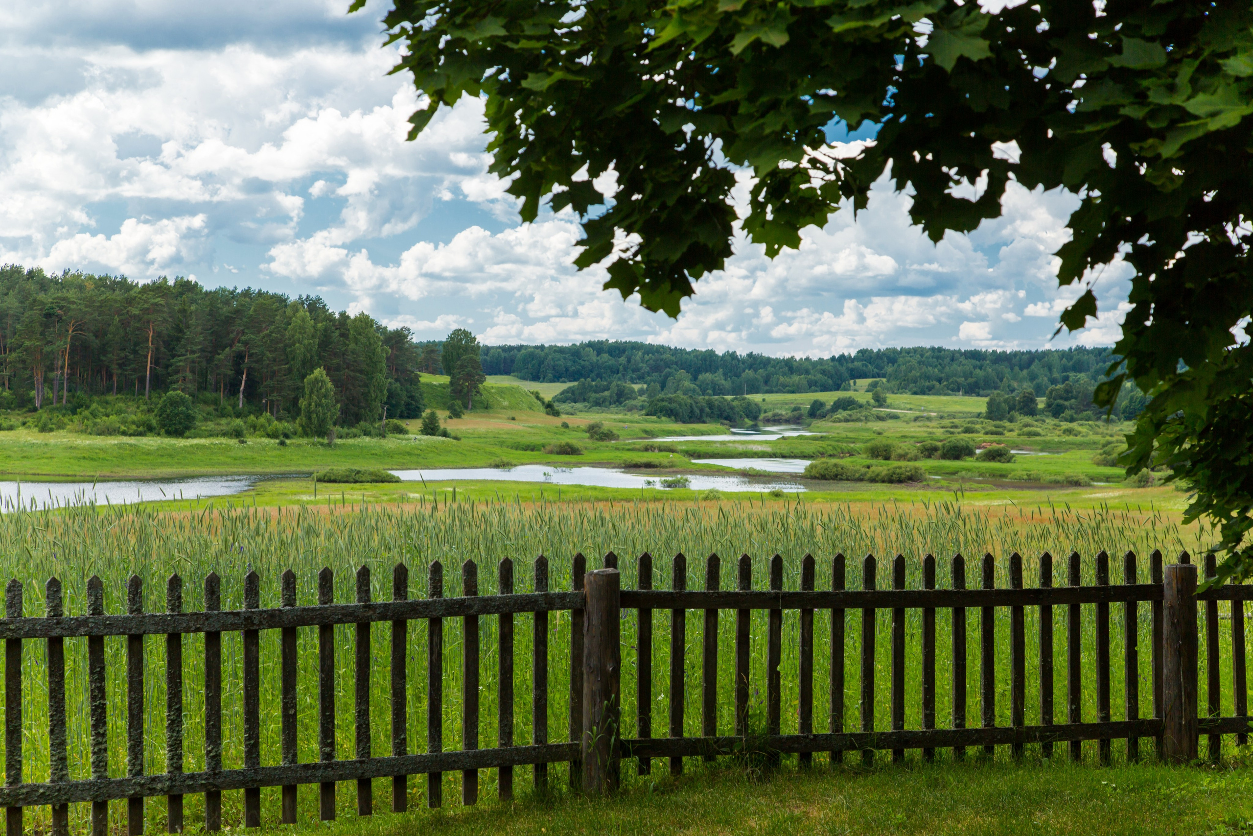Псковщина. Пейзажи Крайнего Севера. Баренцево море, Рыбачий, Средний, Немецкий