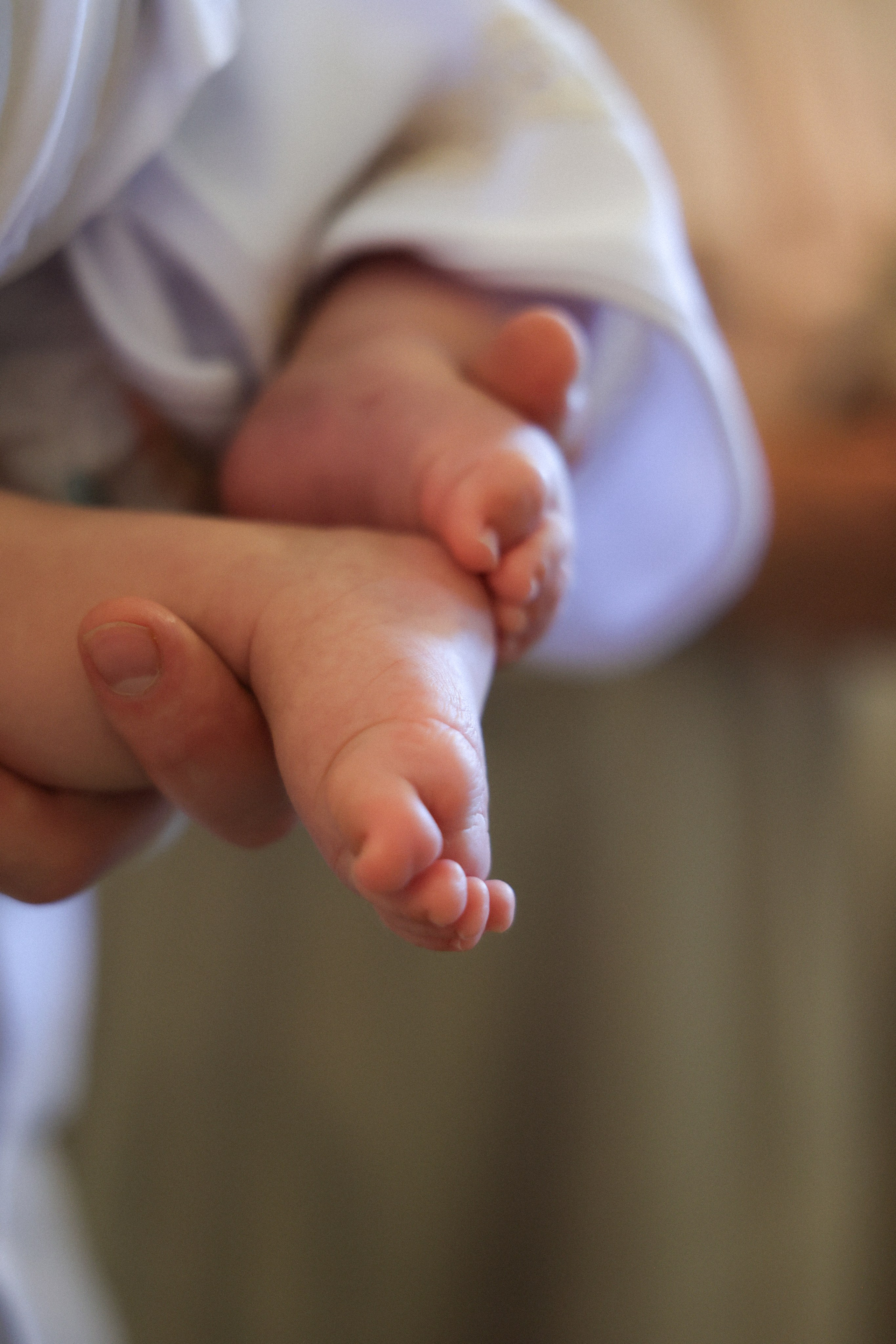 Милания. Фотограф НатаФото (Наталья Яковенко) Дмитров Москва Питер