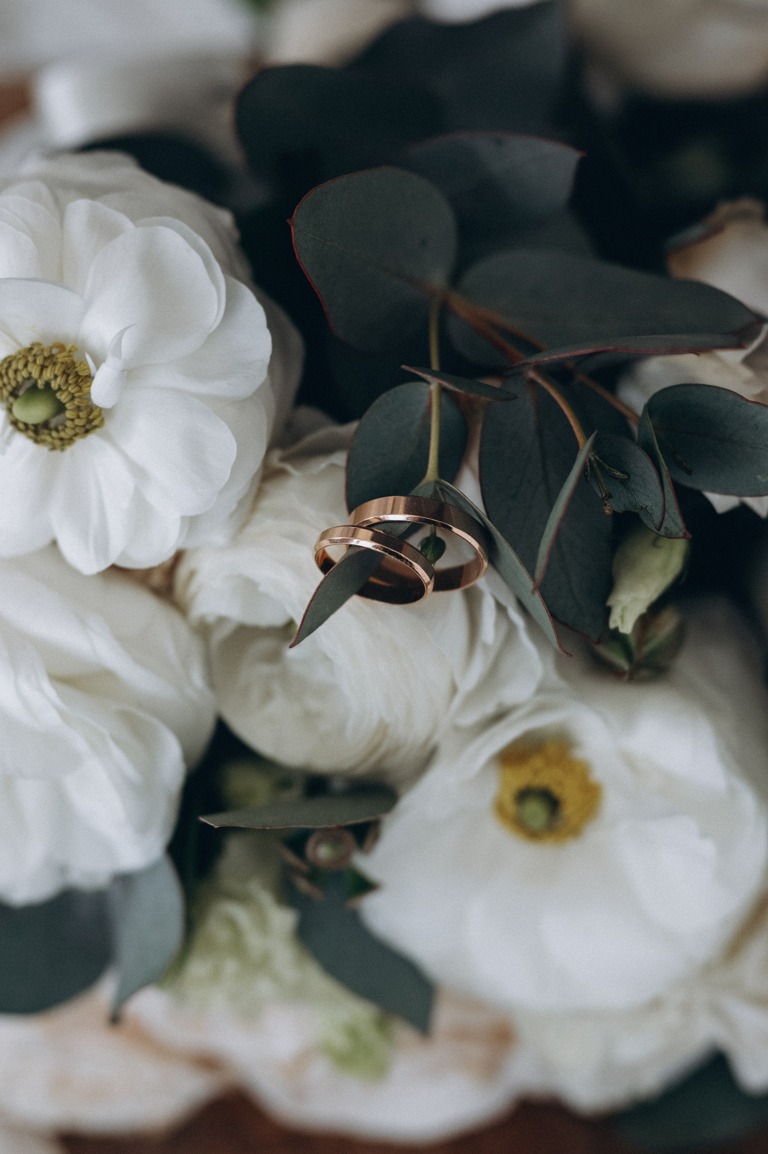 Свадьба, Старый парк. Семейный свадебный фотограф Екатеринбург Первоуральск Шарнина Алёна