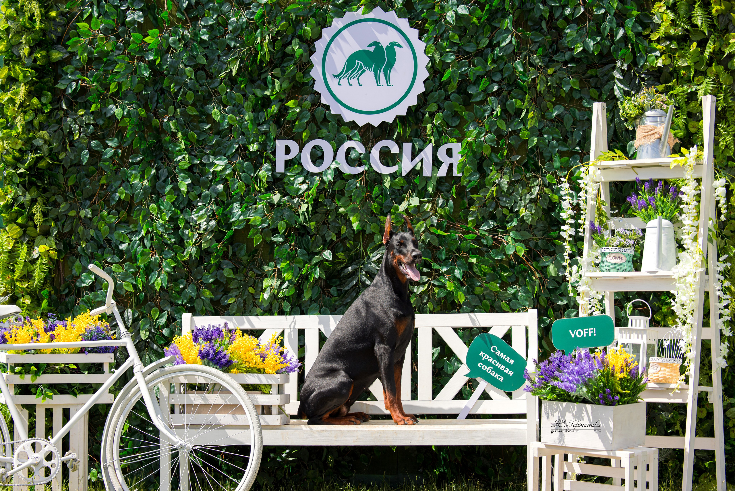 РОССИЯ 8-9.06.2024. Фотограф-анималист Юлия Германика