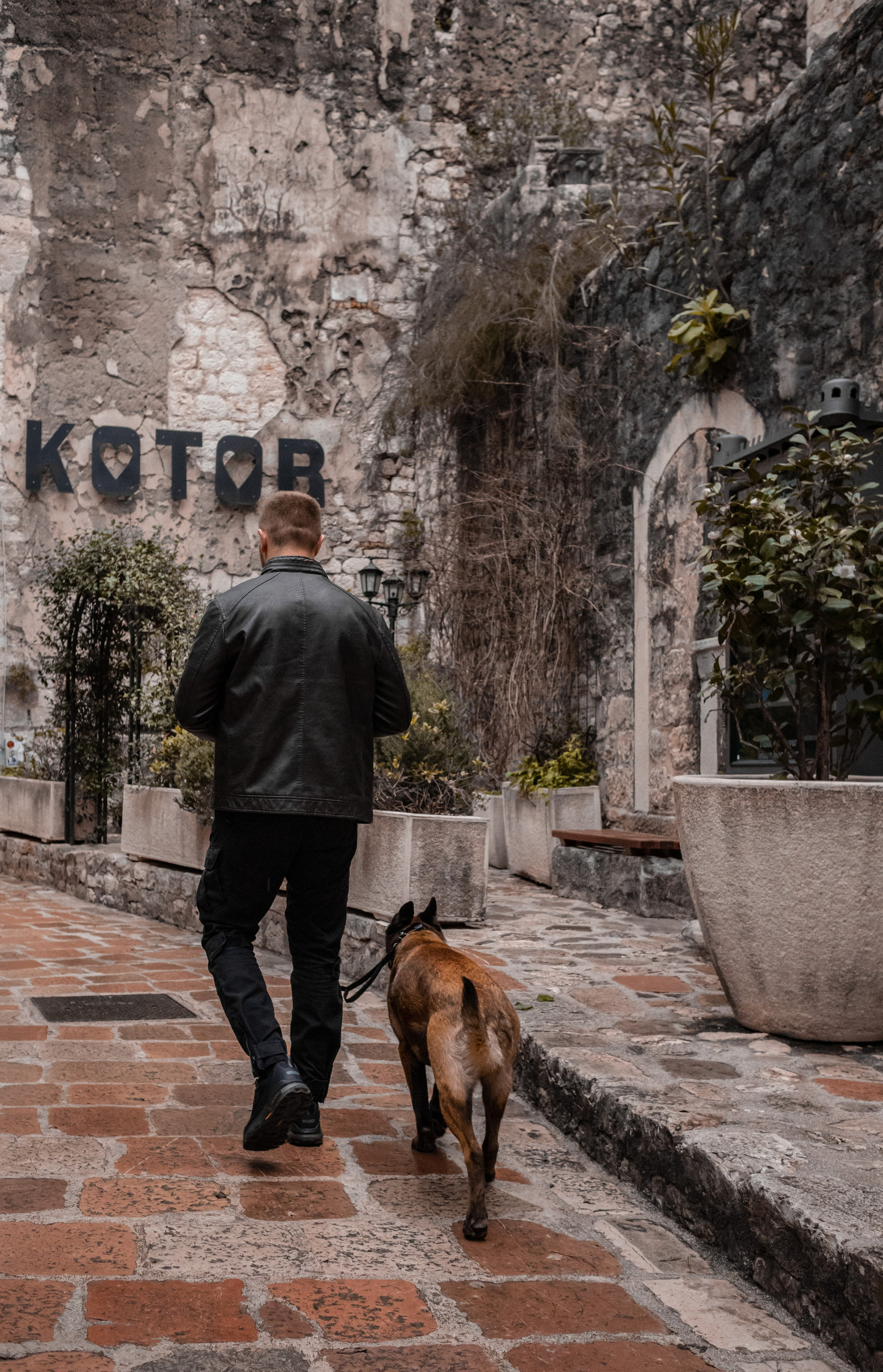 Photoshoot with a dog in Montenegro. Portrait photographer in Tivat Montenegro Katerina Kirsanova