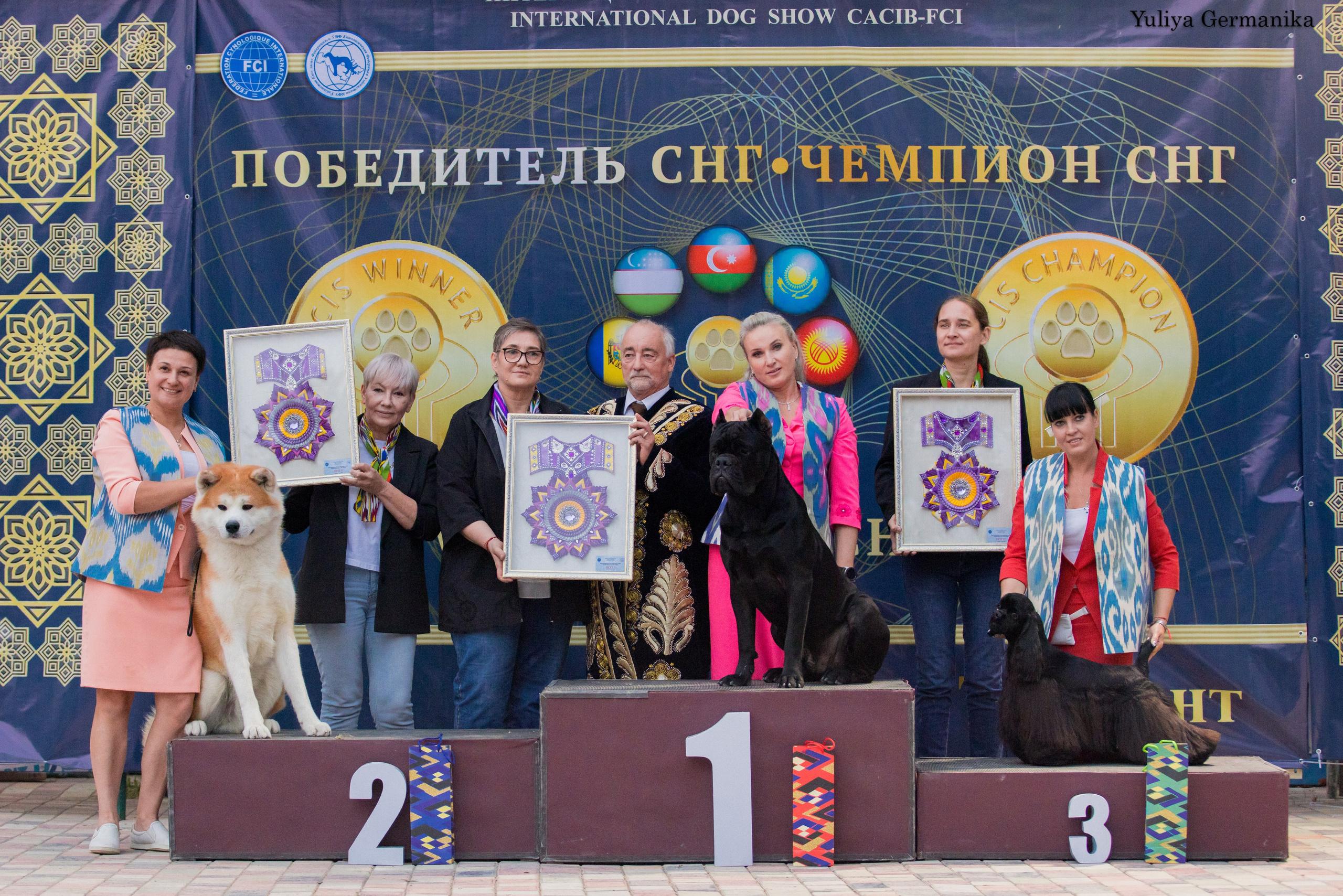 Ташкент 6-8.10.2023 + Алматы 14-15.10.2023. Фотограф-анималист Юлия Германика