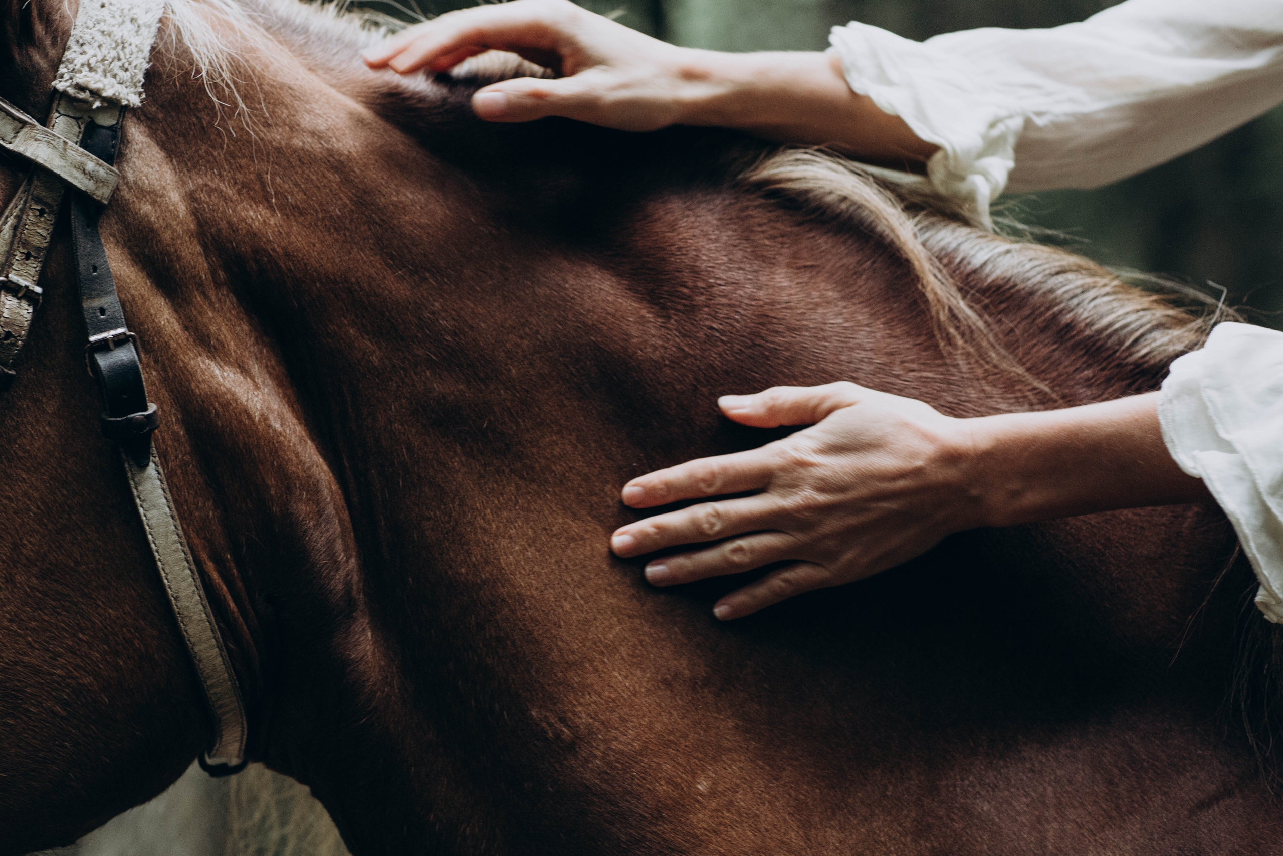 Аня. Портретный женский фотограф в Москве Наталия Глазова