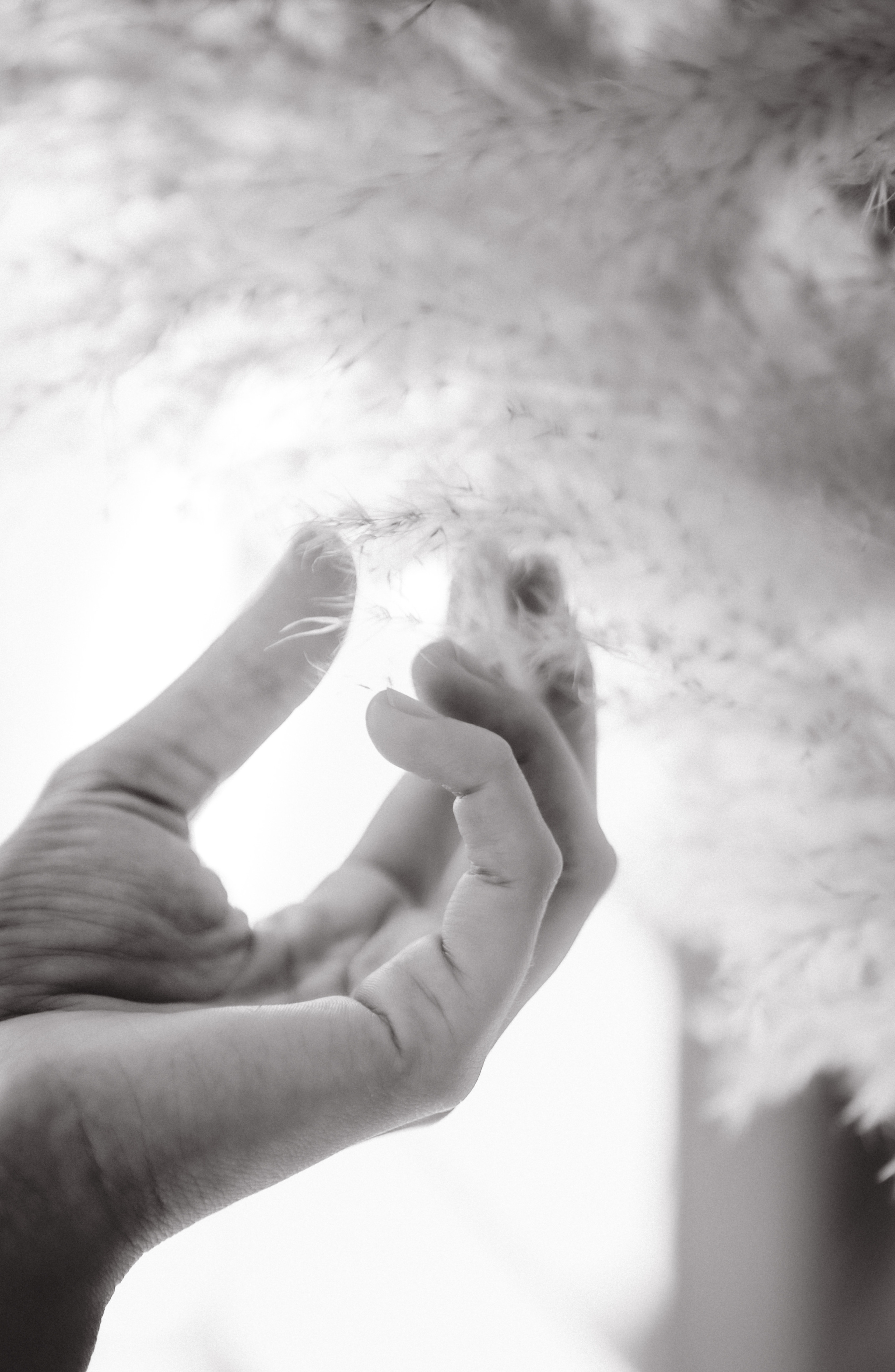 Ксения. Портретный женский фотограф в Москве Наталия Глазова