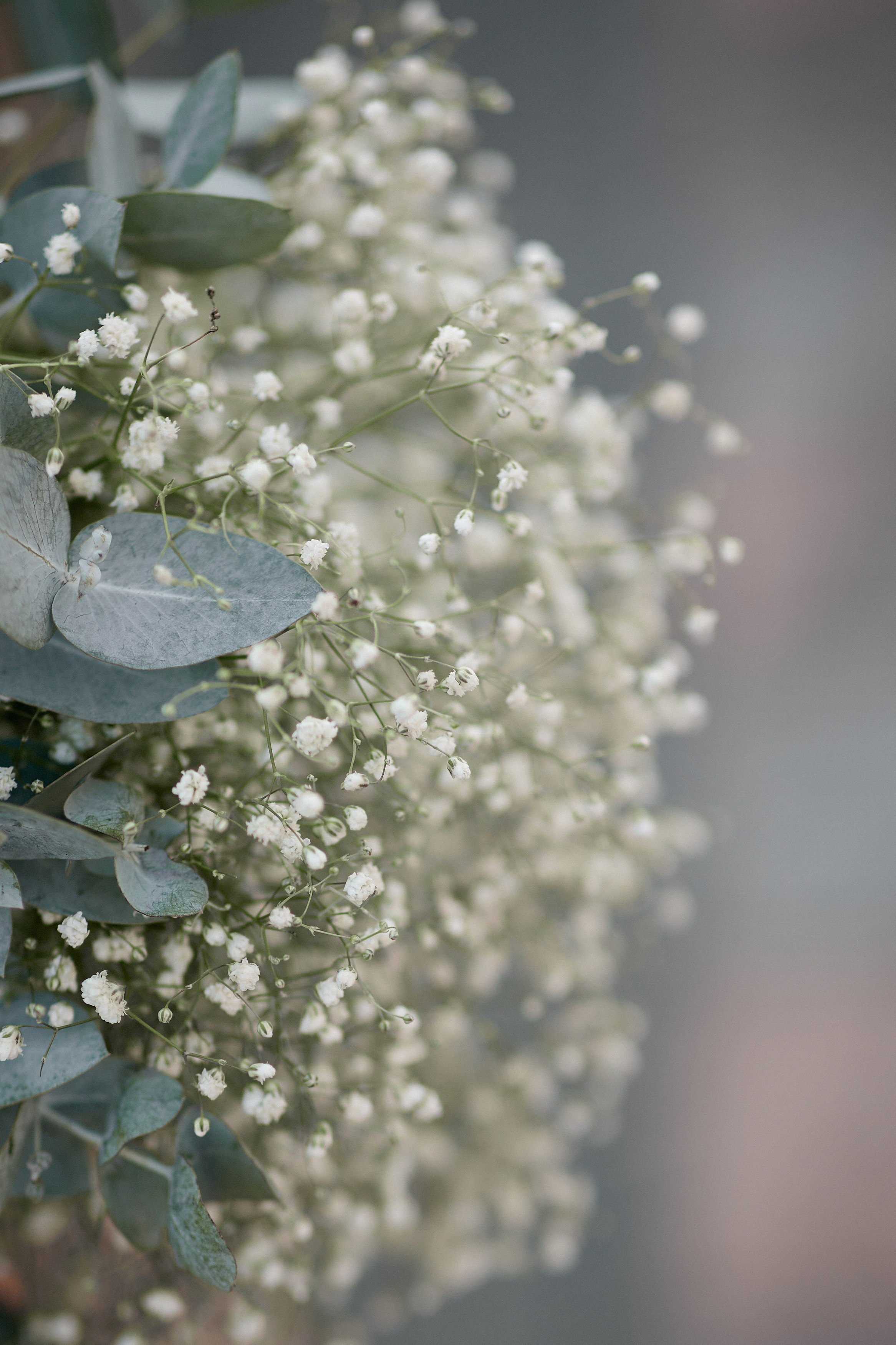 Осенняя прогулка с Ольгой и Владиславом. Свадебный фотограф Москва Калуга