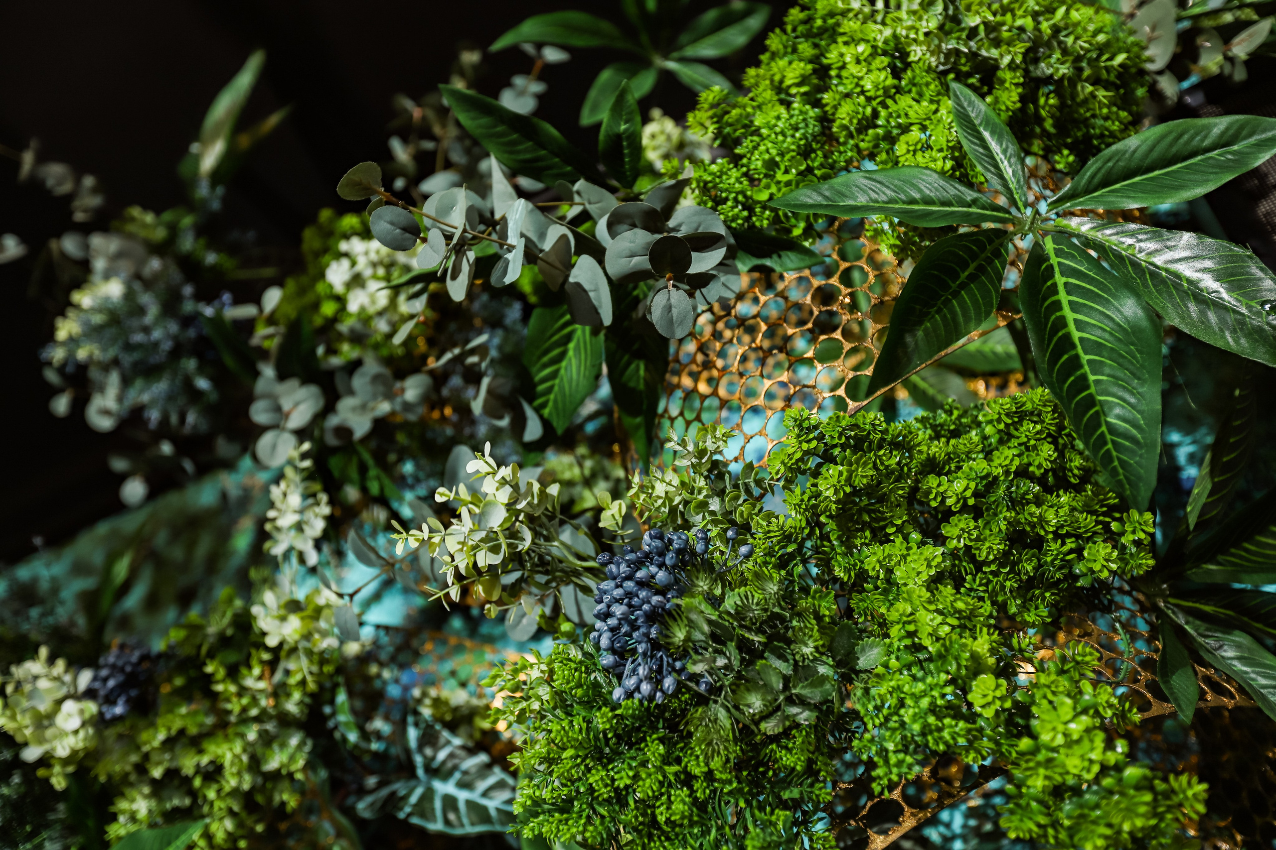 BORDO. Фотограф в Краснодаре Анна Светикова