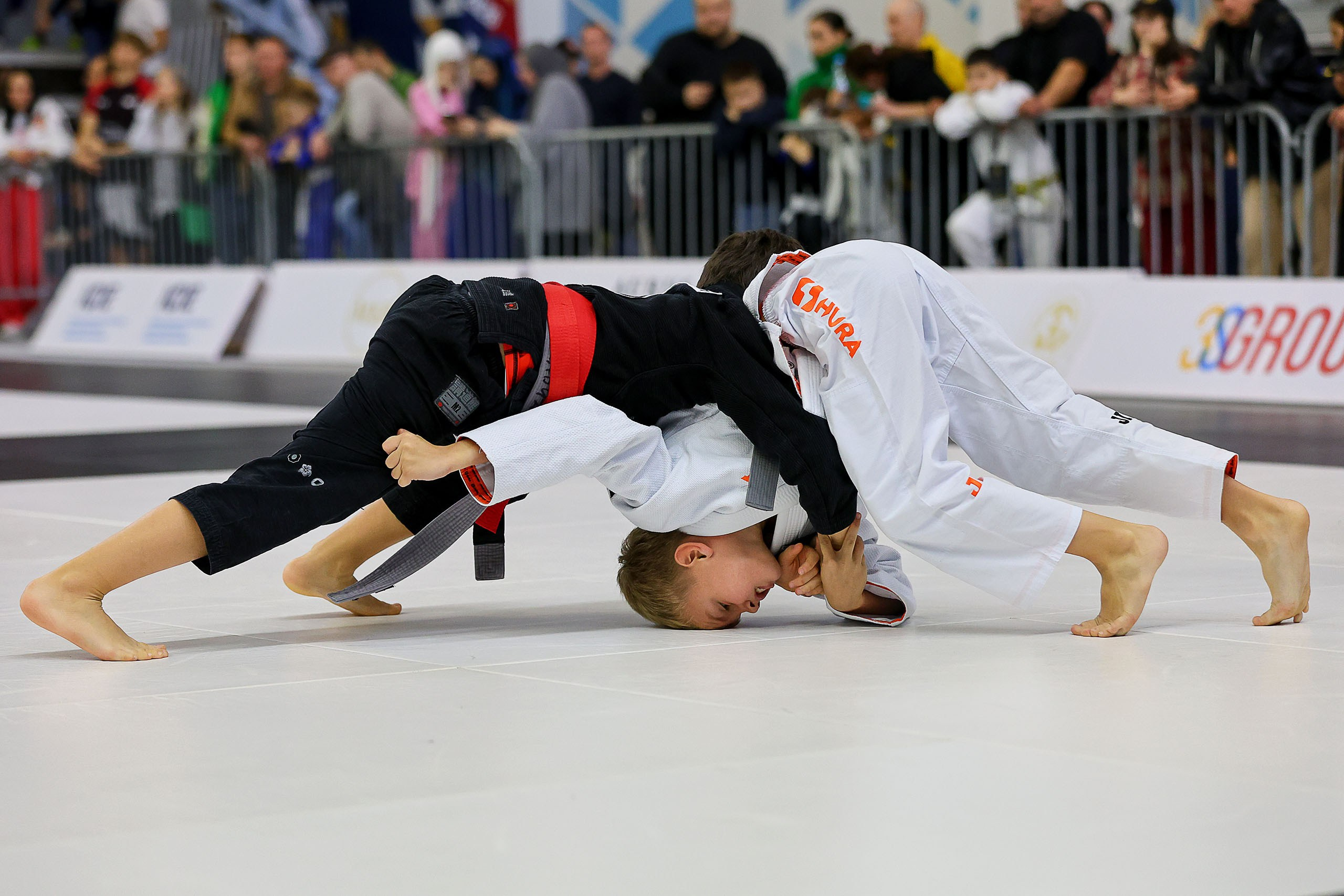 BJJ. Спортивный фотограф в Нижнем Новгороде и Сочи Ангелина Ильичева