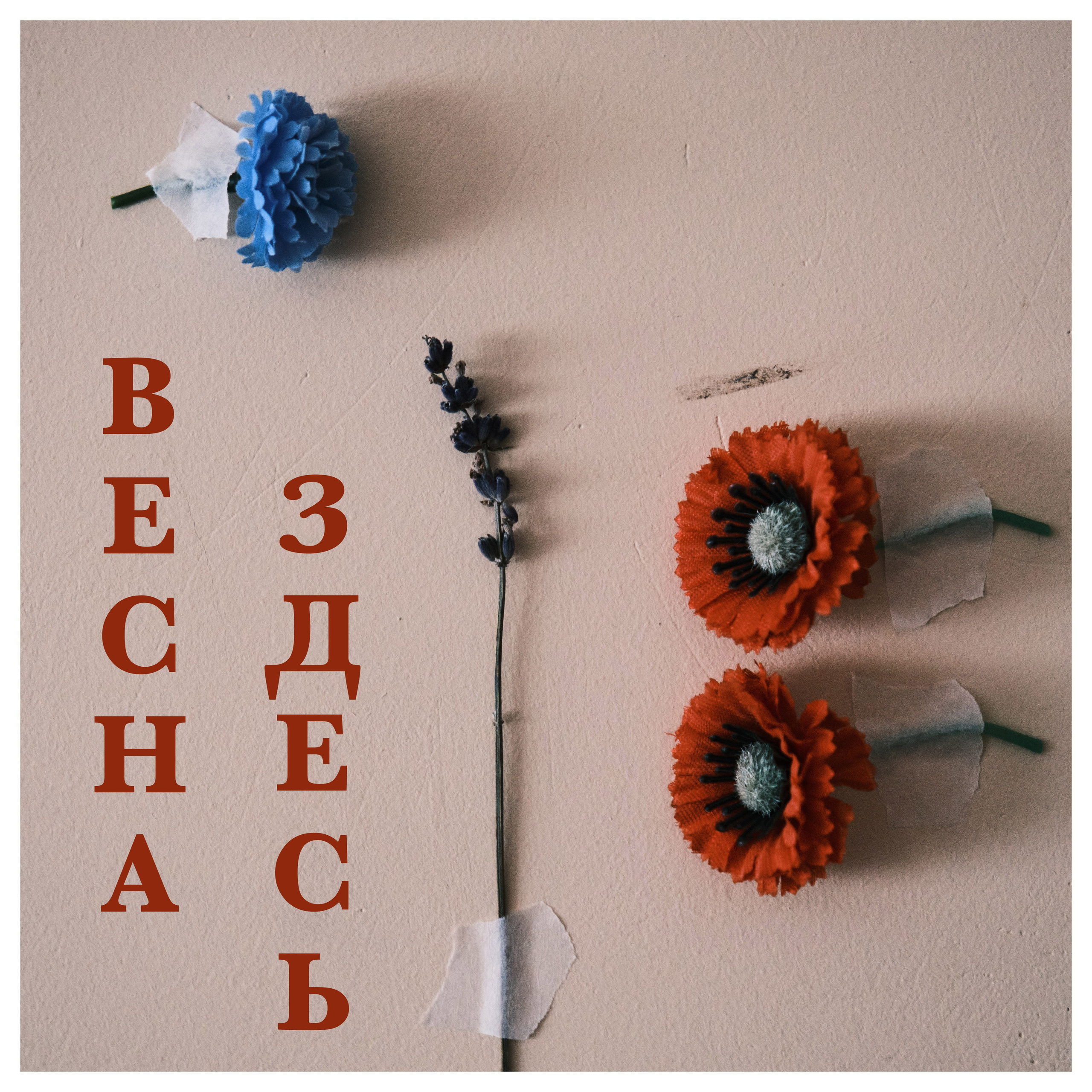 Фотопроекты. Фотограф Корчагин Даниил