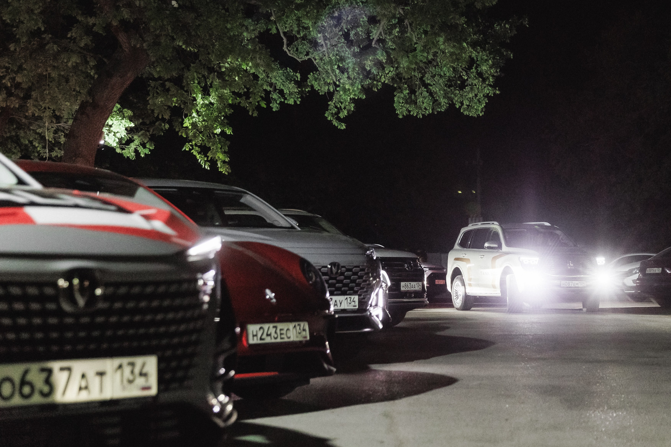 Открытие сезона в Лес и Кролик. Фотограф в Волгограде — Александра Искандерова