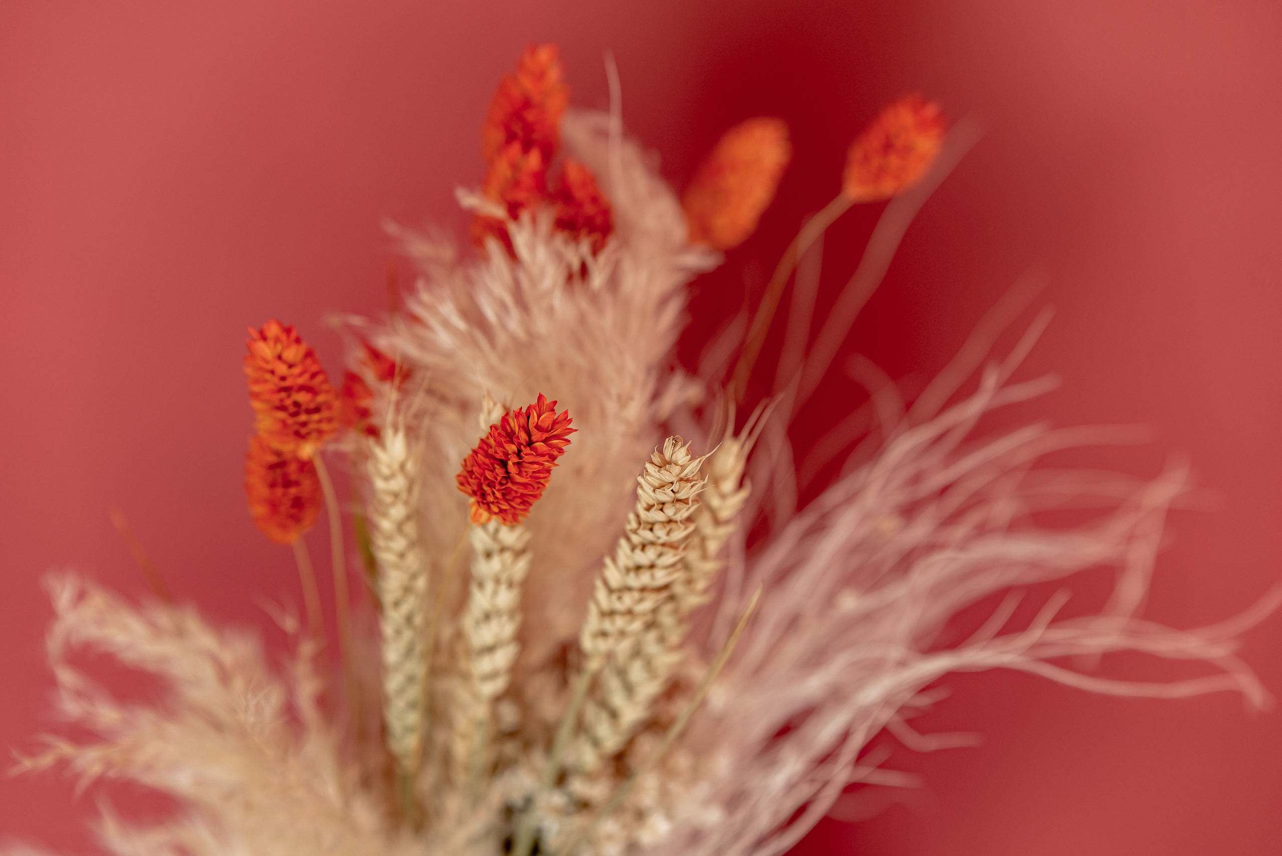 Имидж съемка предметная съемка контент съемка. Ольга Ли свадебный семейный фотограф Иркутск