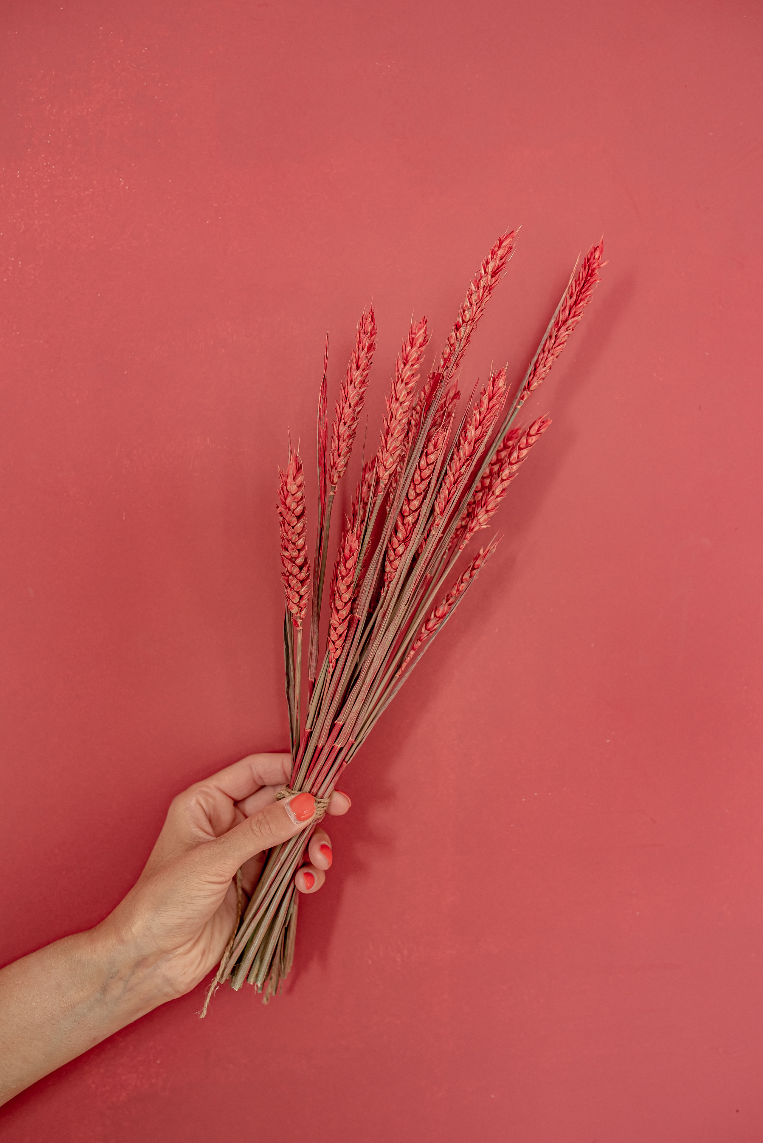 Имидж съемка предметная съемка контент съемка. Ольга Ли свадебный семейный фотограф Иркутск