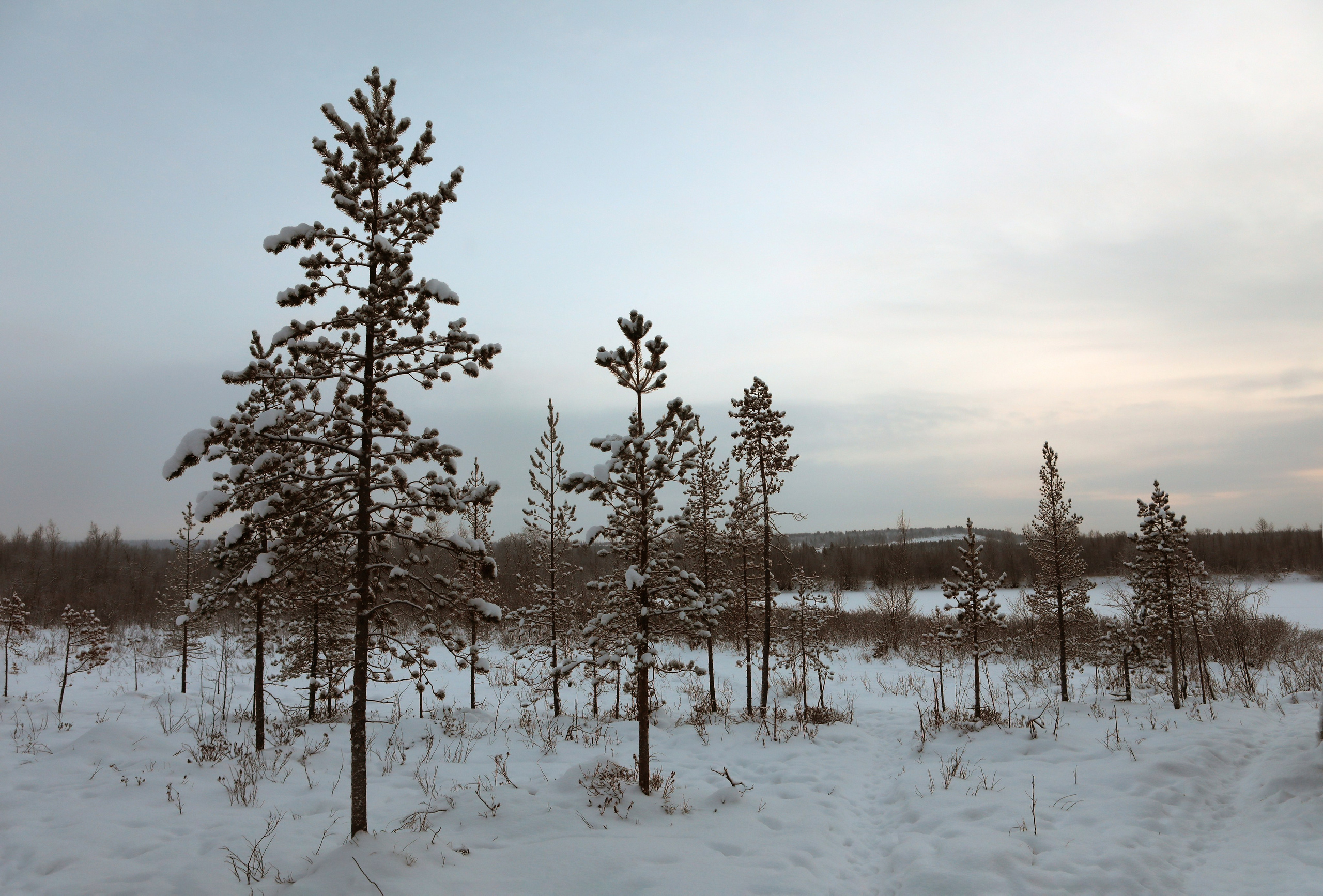 Пейзаж. Фотограф Наталья Туева FineArt съёмка