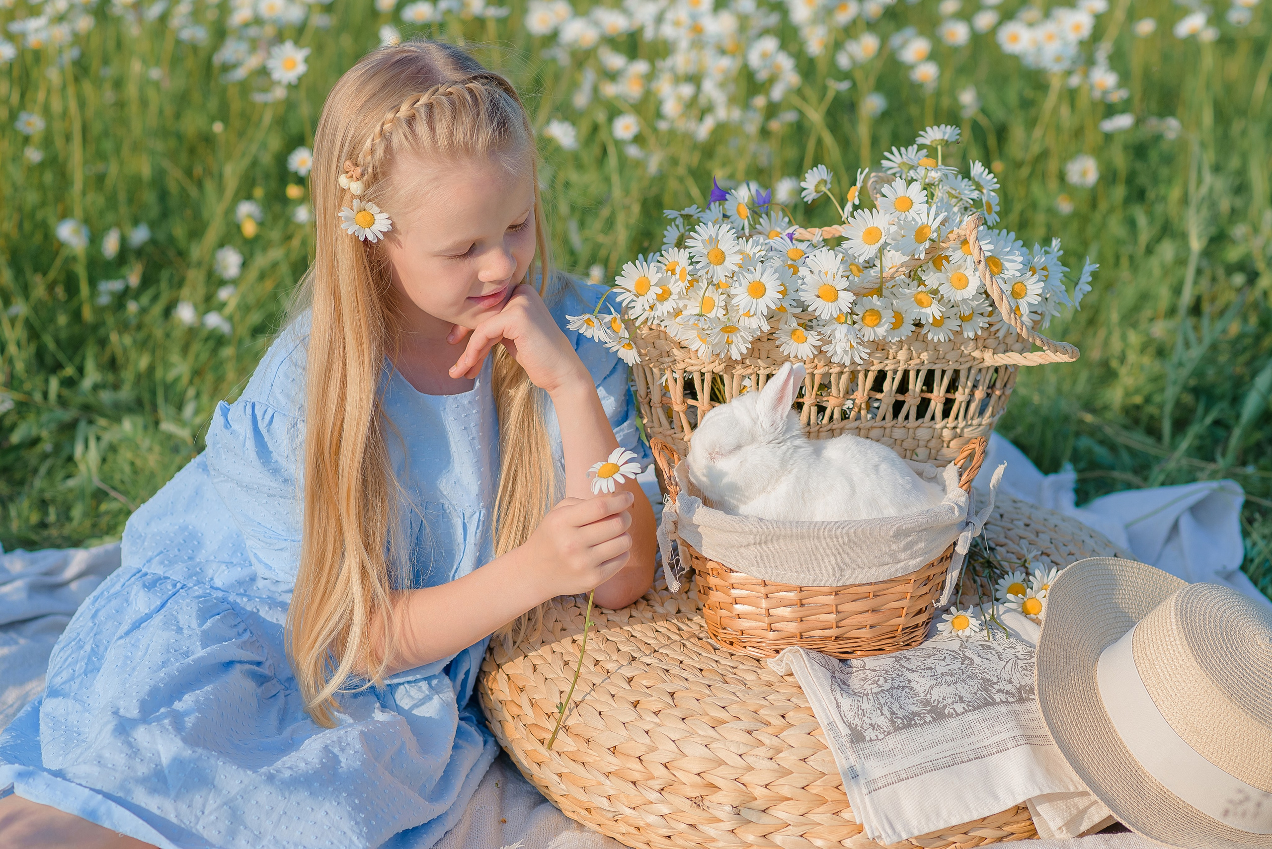 Ромашковое поле. Семейный фотограф в Рязани Мария Ермакова
