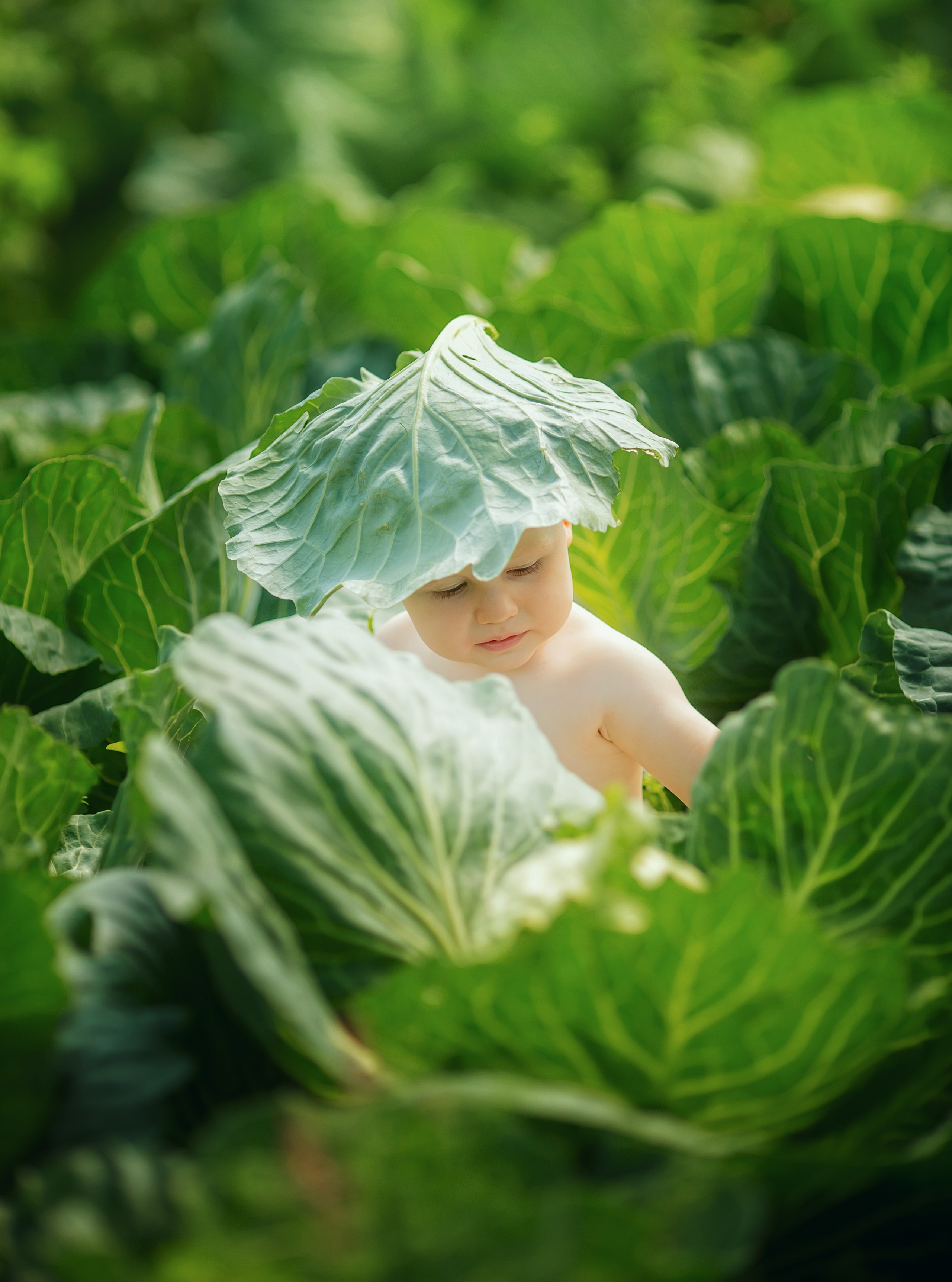 Летом на даче. צלם ואמן ילדים ומשפחה