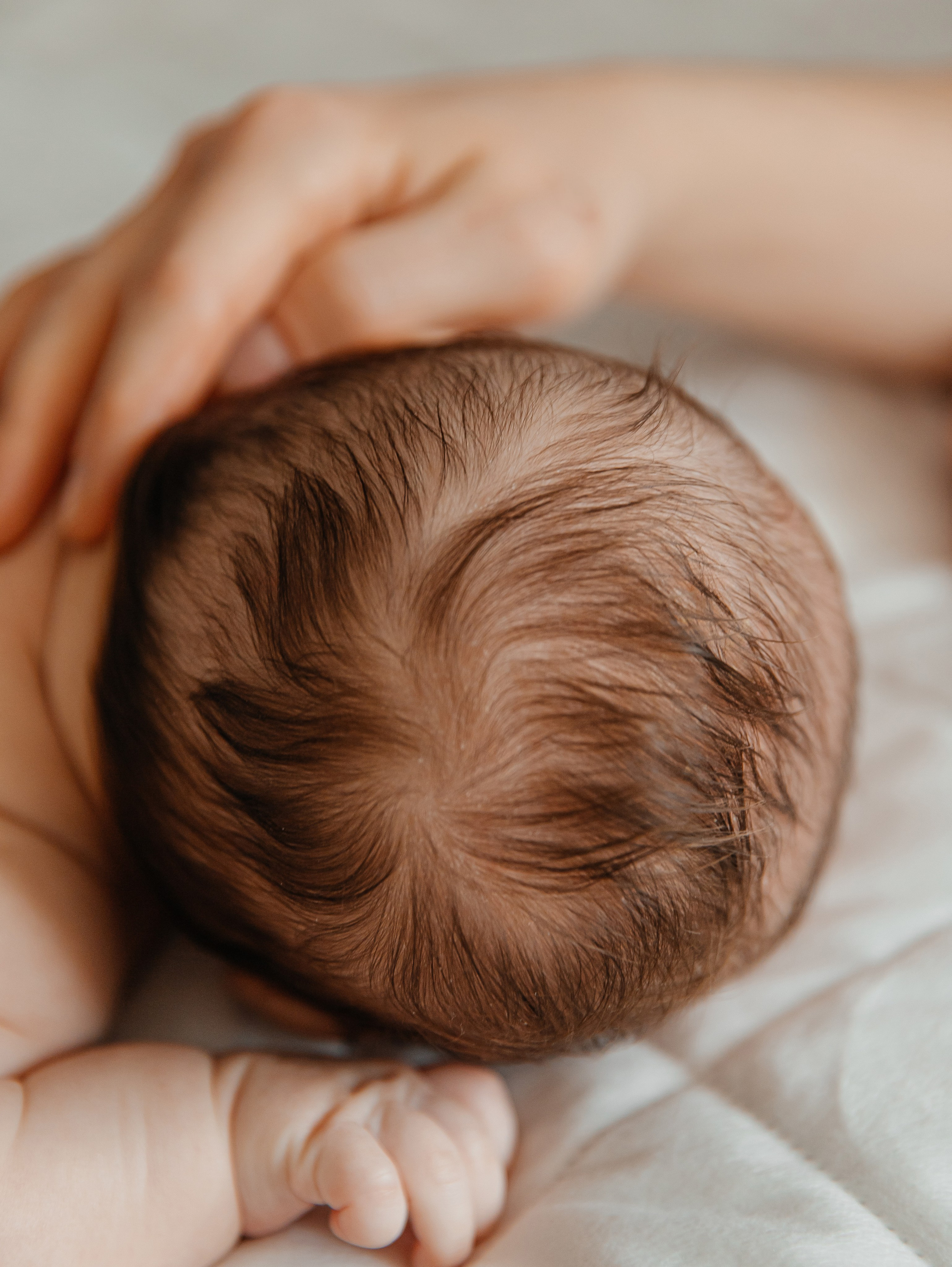Домашняя съемка, малыш 3 месяца. Фотограф текстиля в Москве Ольга Иванова