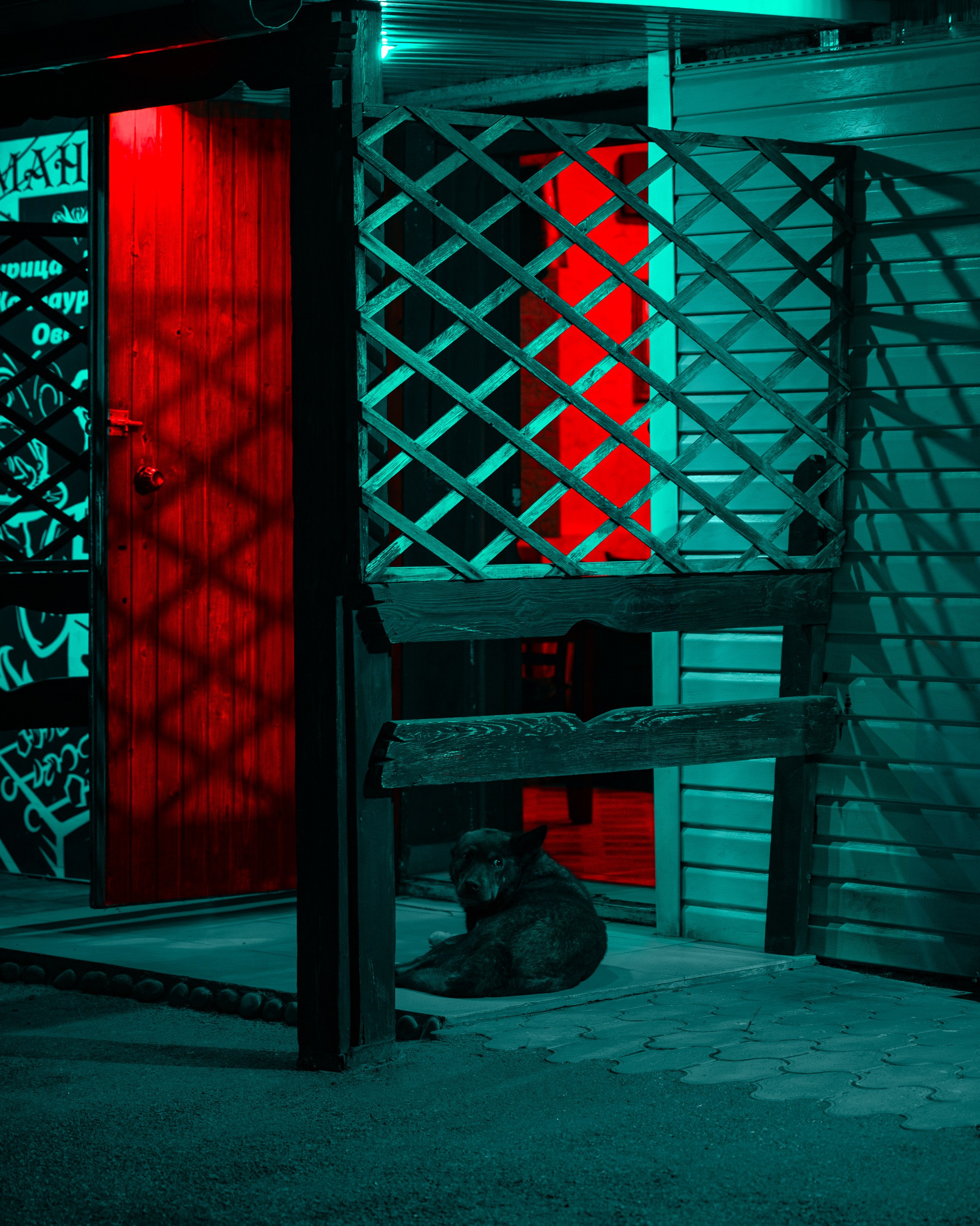 Street/Cinematic. Фотограф в Москве Анна Чистякова