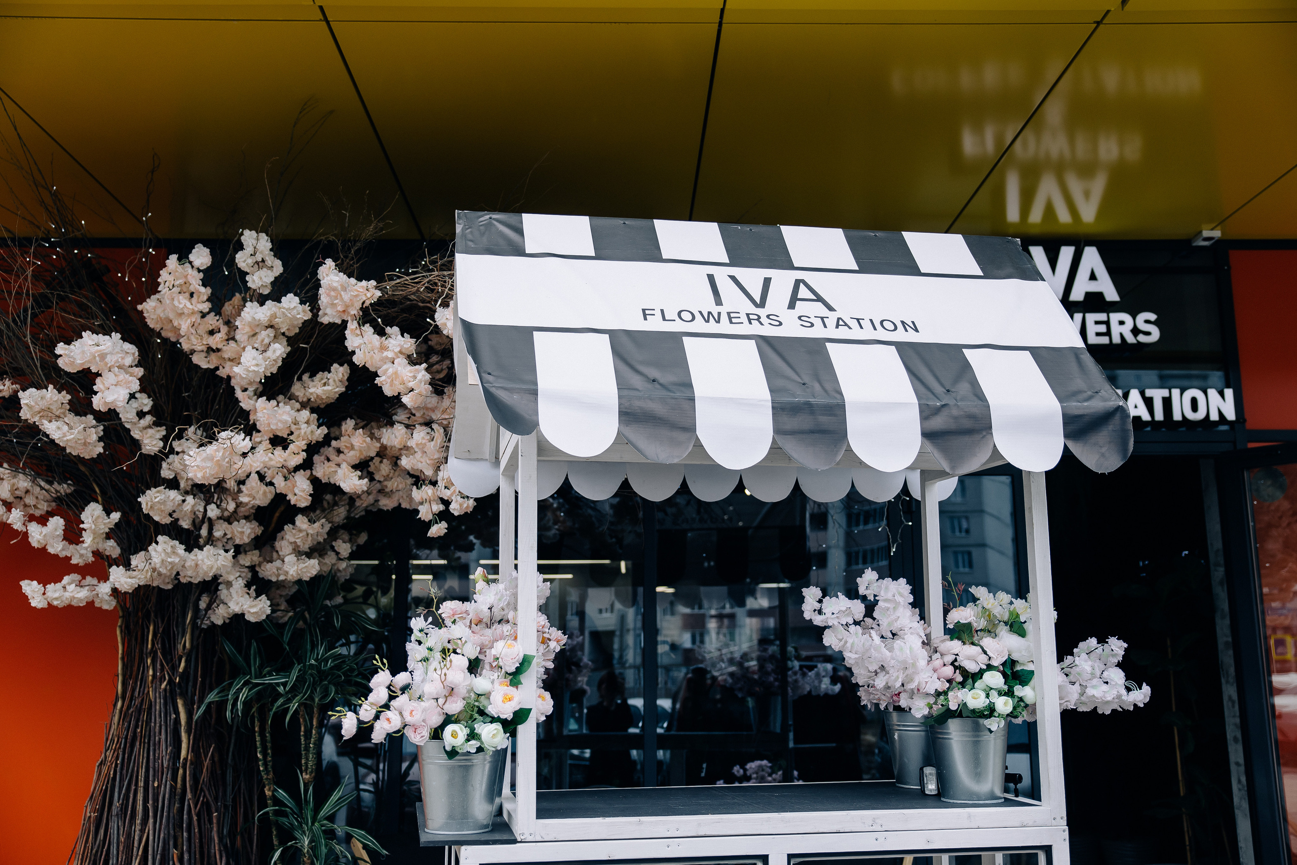 Потрясающий день рожденья Цветочного пространства IVA. Свадебный и семейный фотограф в Воронеже Свиридова Евгения