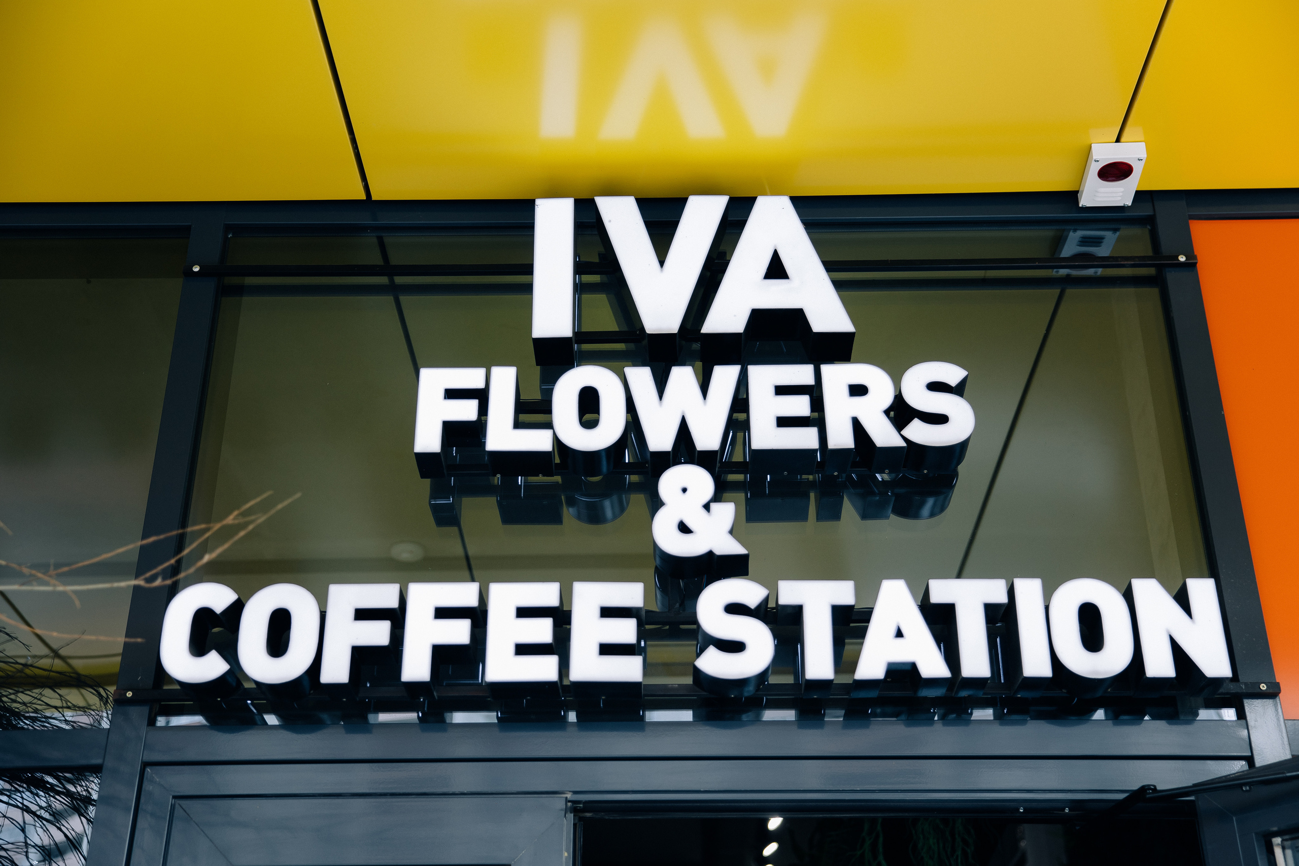 Потрясающий день рожденья Цветочного пространства IVA. Свадебный и семейный фотограф в Воронеже Свиридова Евгения