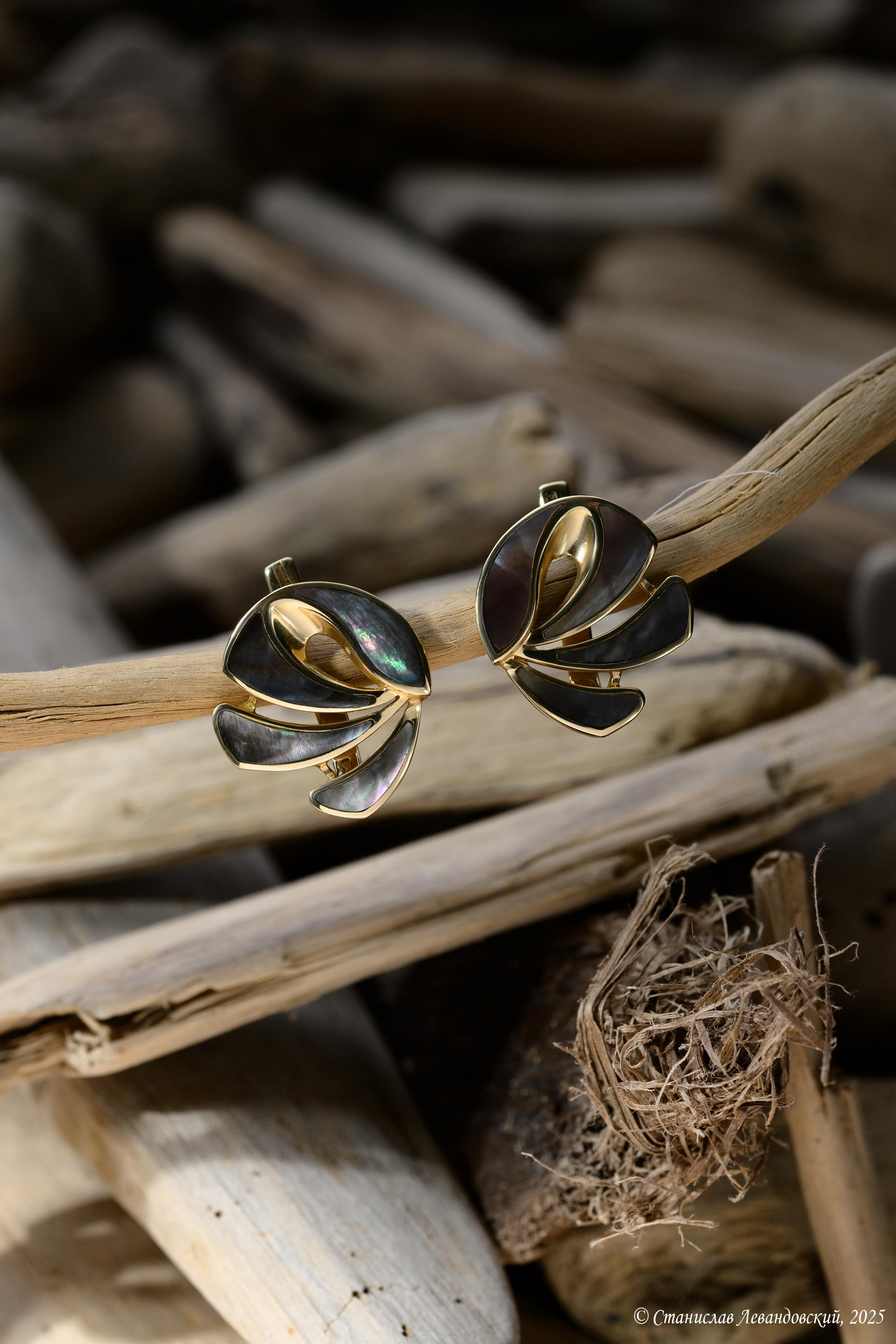 Предметы с глянцевой поверхностью. Предметный фотограф в Москве Станислав Левандовский