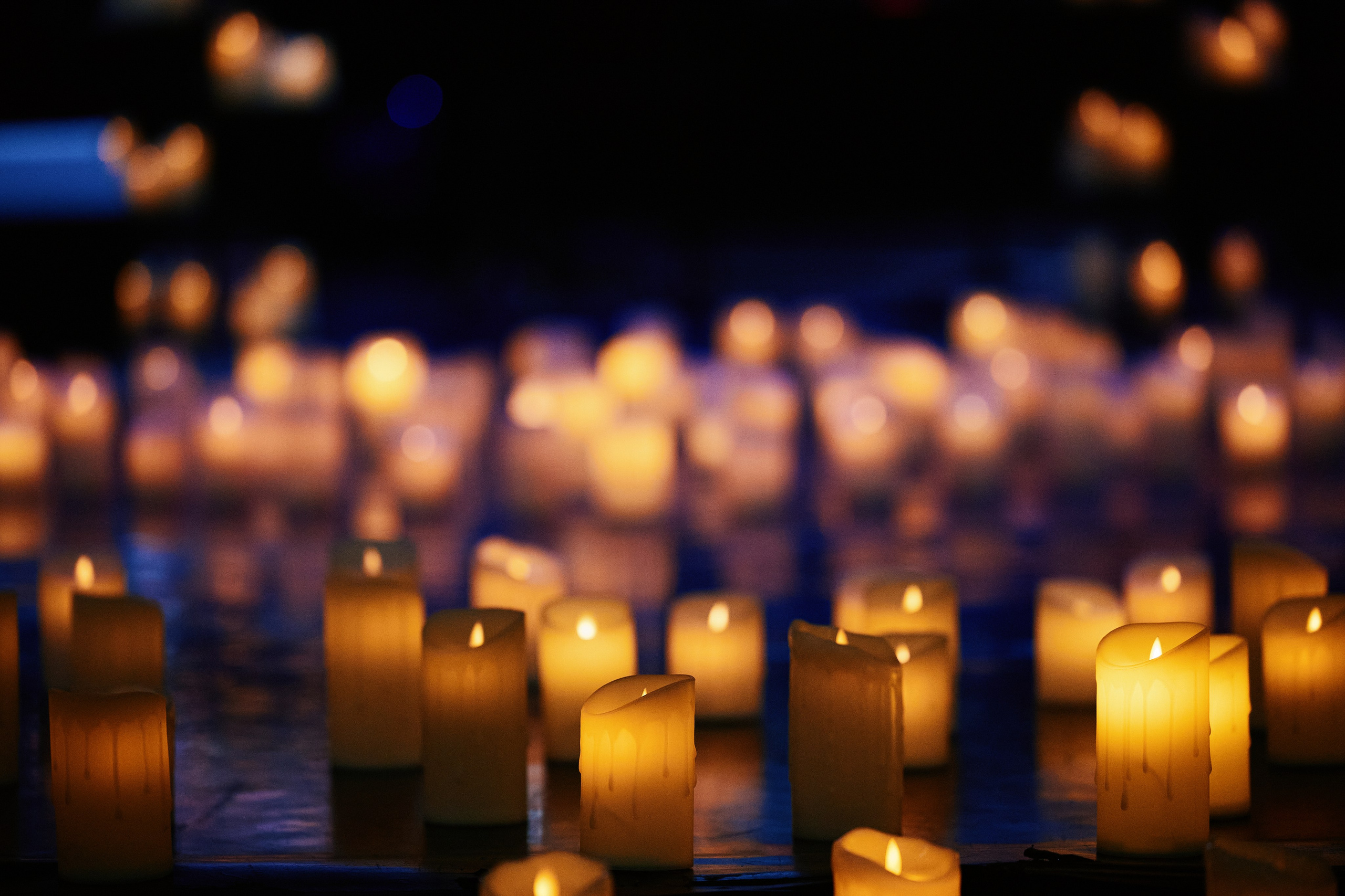 Шедевры мировой неоклассики при свечах. The Best 26.02. Свадебный репортажный фотограф краснодар максим дремов дрёмов фотосессия студия цена