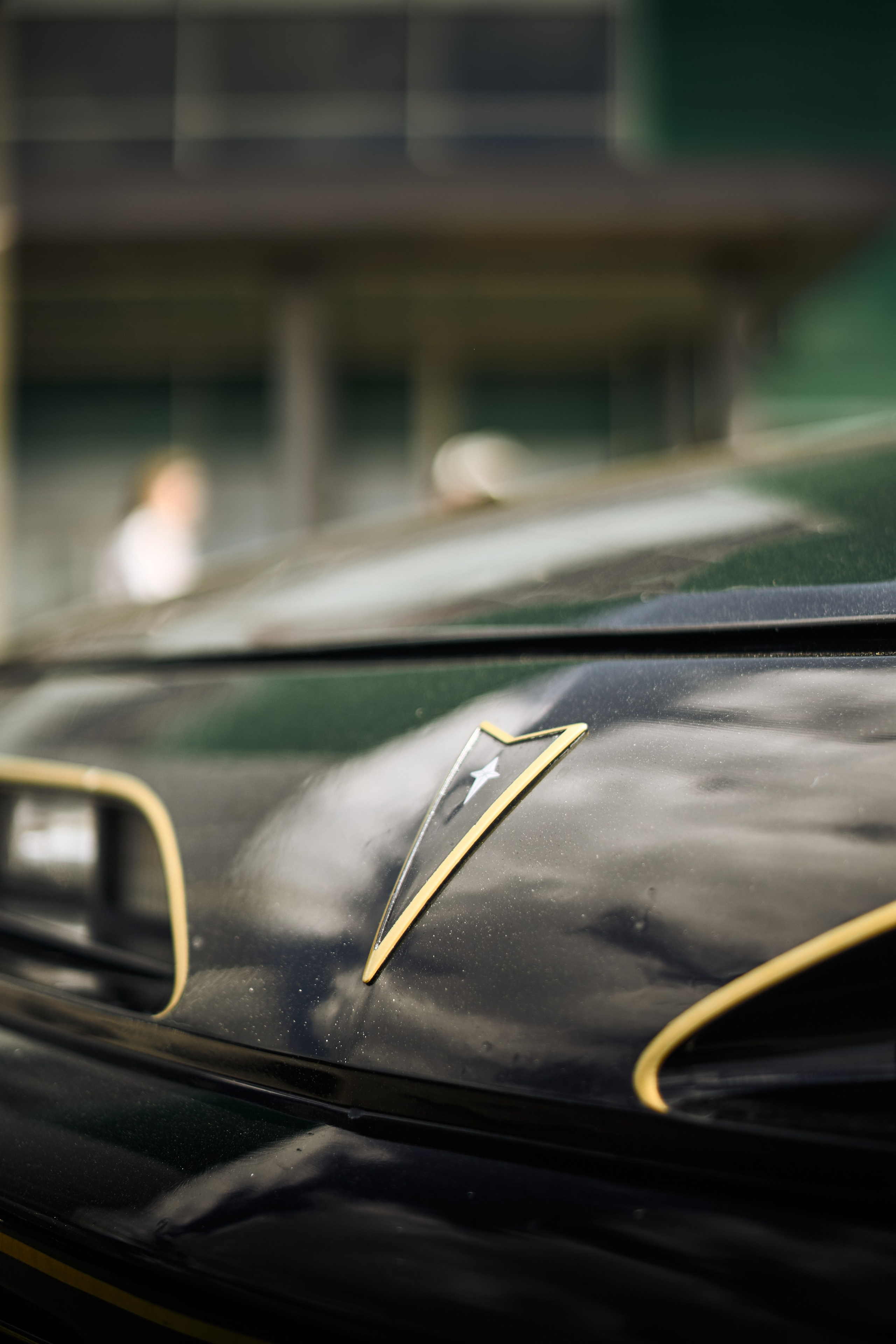 DNB 25. Фотограф Александр Рауш