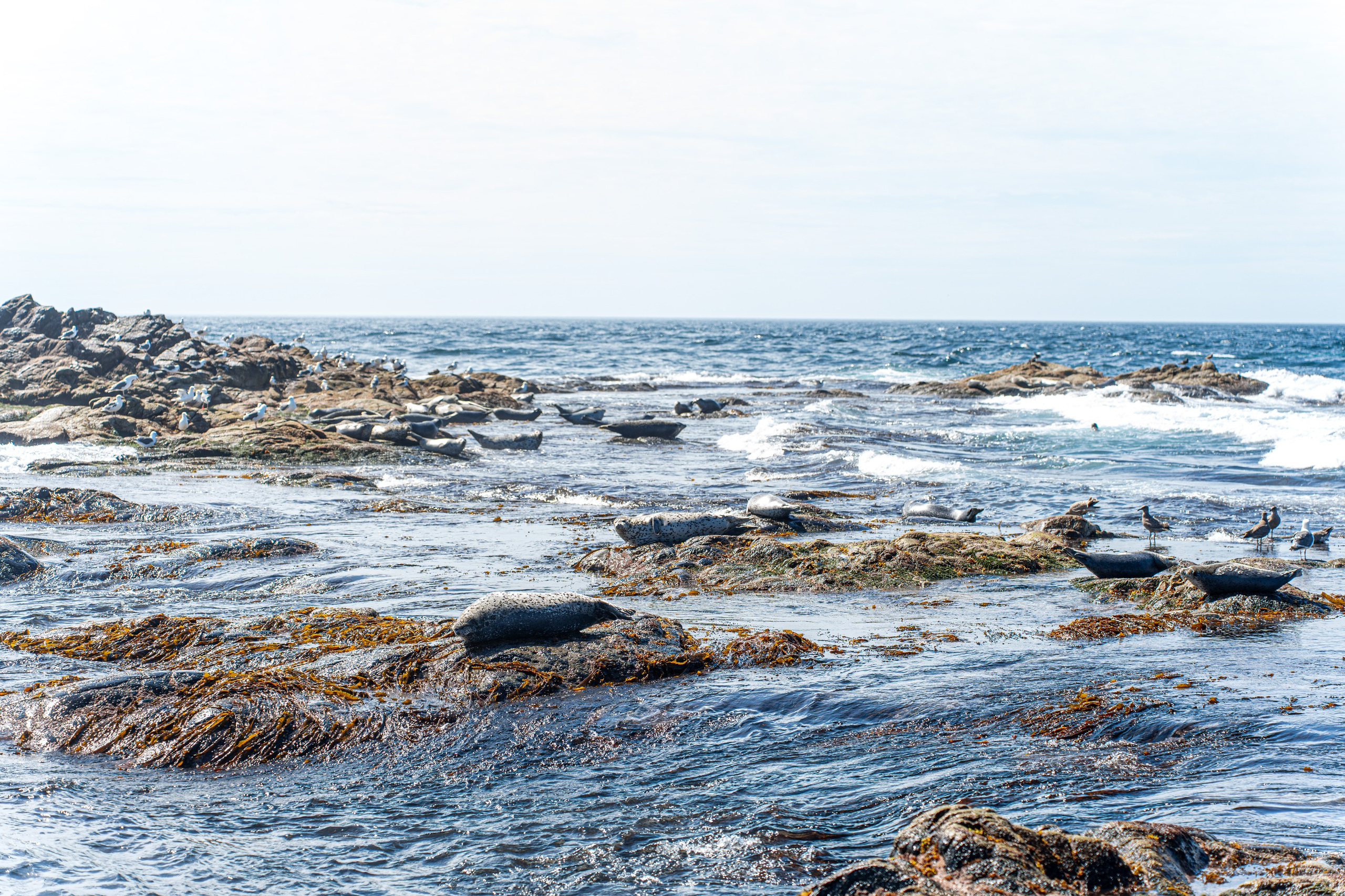 Сахалин 2025. Творческие сьемки