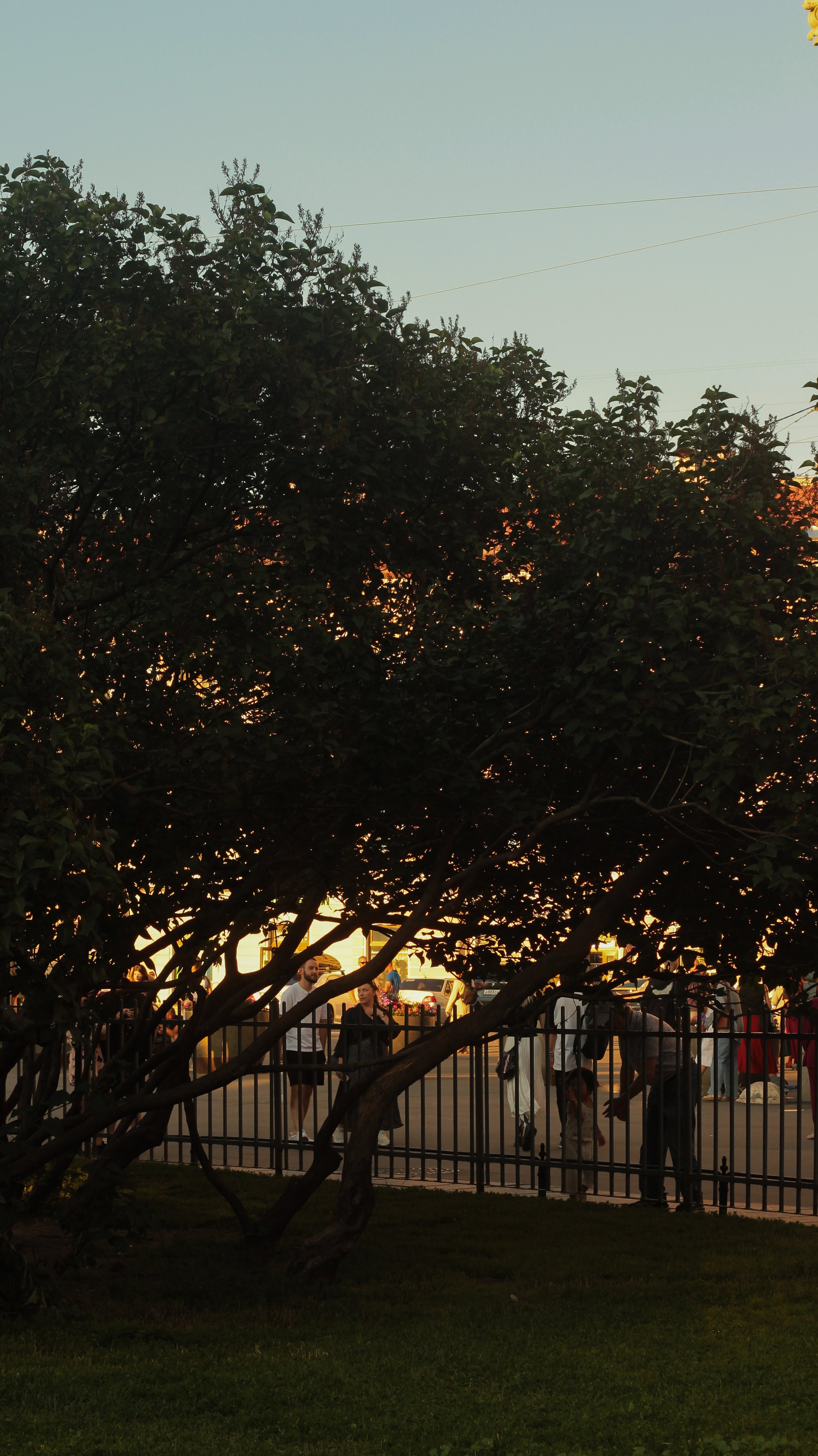 Казанский собор и Дом Книги. Портретный фотограф DanilNabody