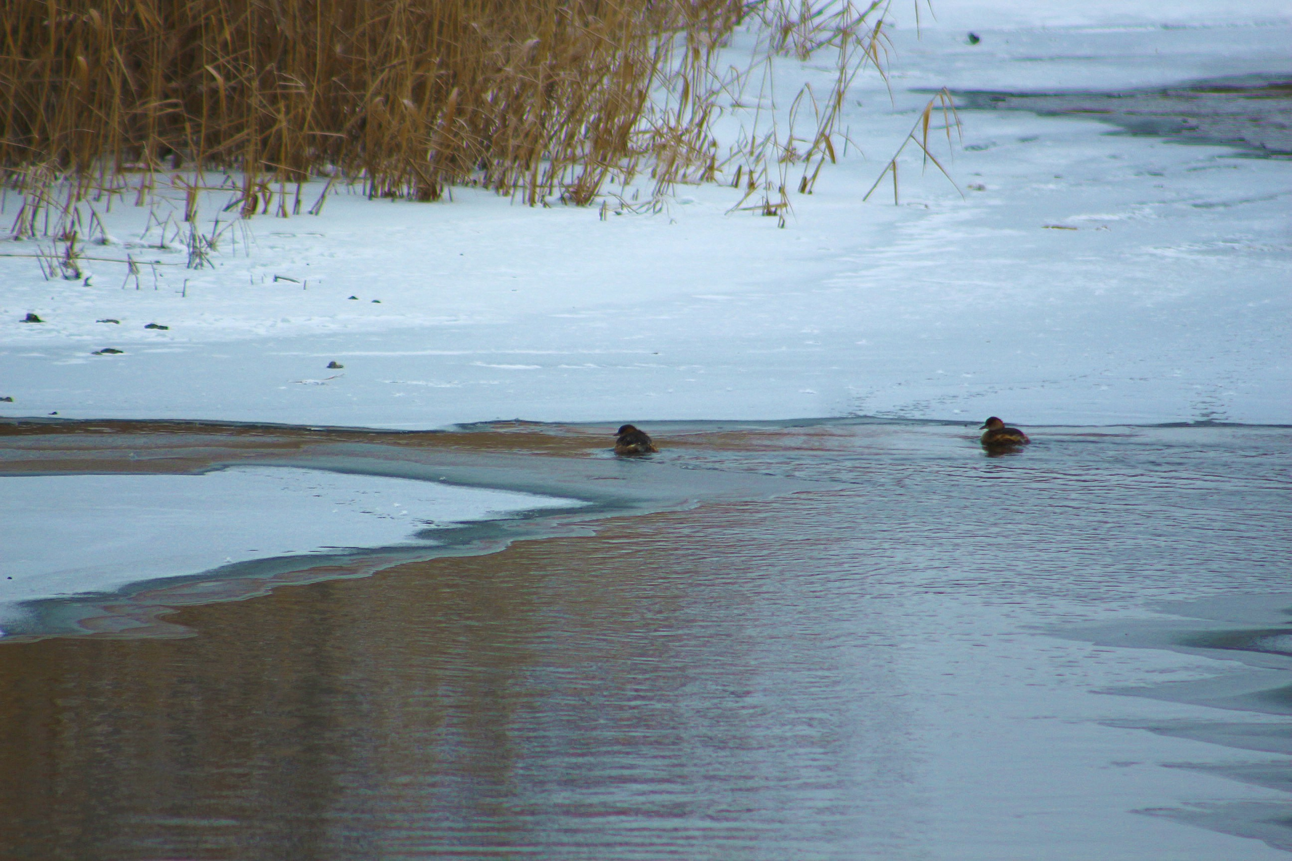 Пейзажи. Фотограф из Донецка Александр Турко